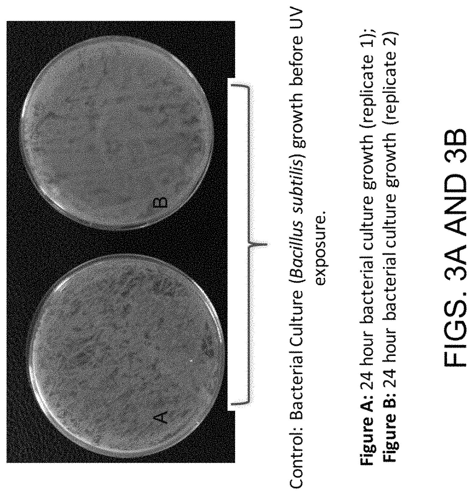 Patent US11781157 Figure 5 – Biological devices for producing oxidized zinc and applications thereof