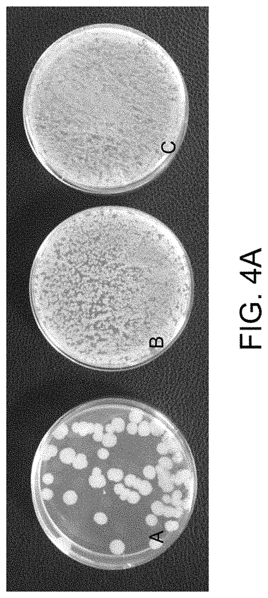 Patent US11781157 Figure 6 – Biological devices for producing oxidized zinc and applications thereof