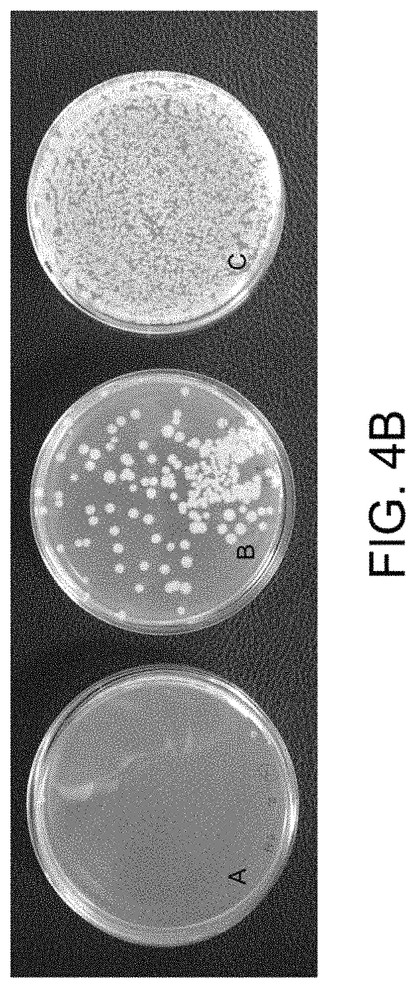 Patent US11781157 Figure 7 – Biological devices for producing oxidized zinc and applications thereof