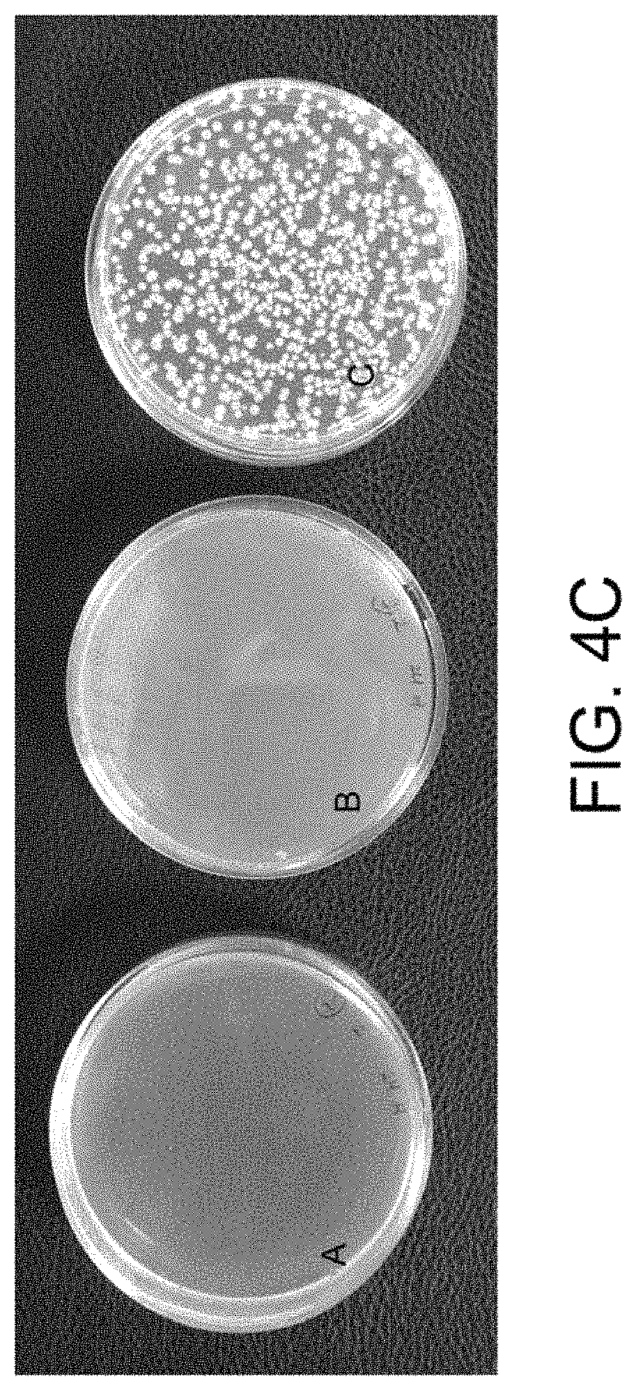 Patent US11781157 Figure 8 – Biological devices for producing oxidized zinc and applications thereof