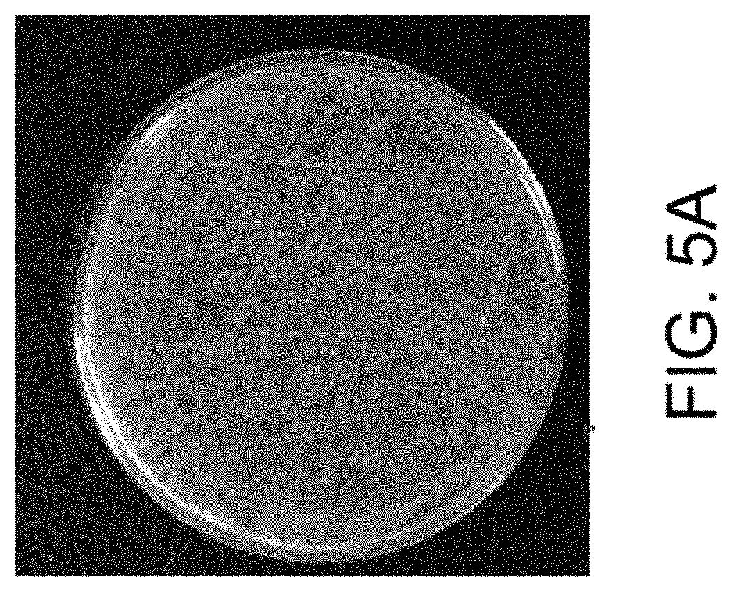 Patent US11781157 Figure 9 – Biological devices for producing oxidized zinc and applications thereof