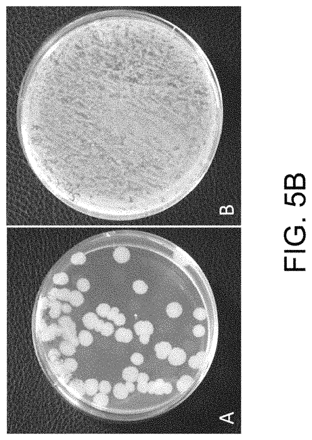 Patent US11781157 Figure 10 – Biological devices for producing oxidized zinc and applications thereof