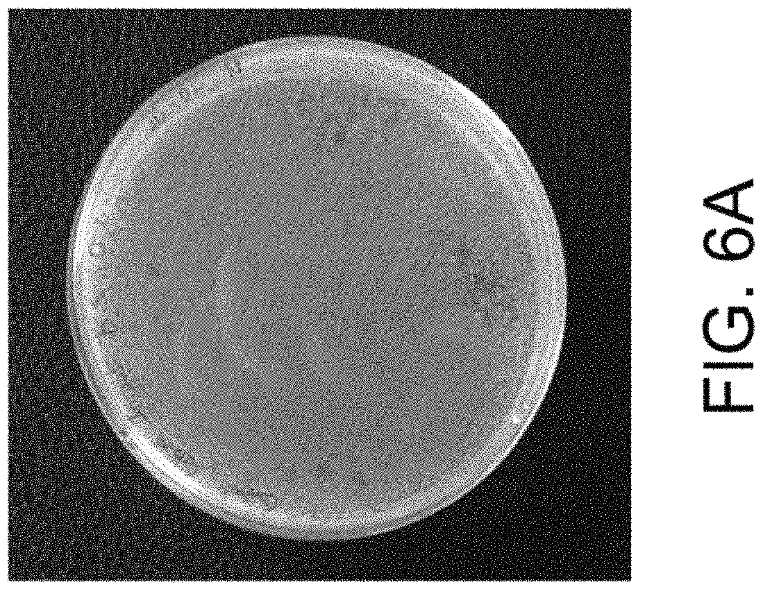 Patent US11781157 Figure 13 – Biological devices for producing oxidized zinc and applications thereof