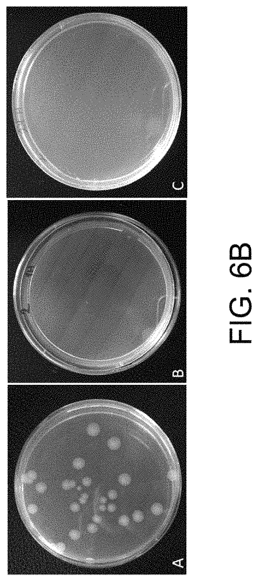 Patent US11781157 Figure 14 – Biological devices for producing oxidized zinc and applications thereof