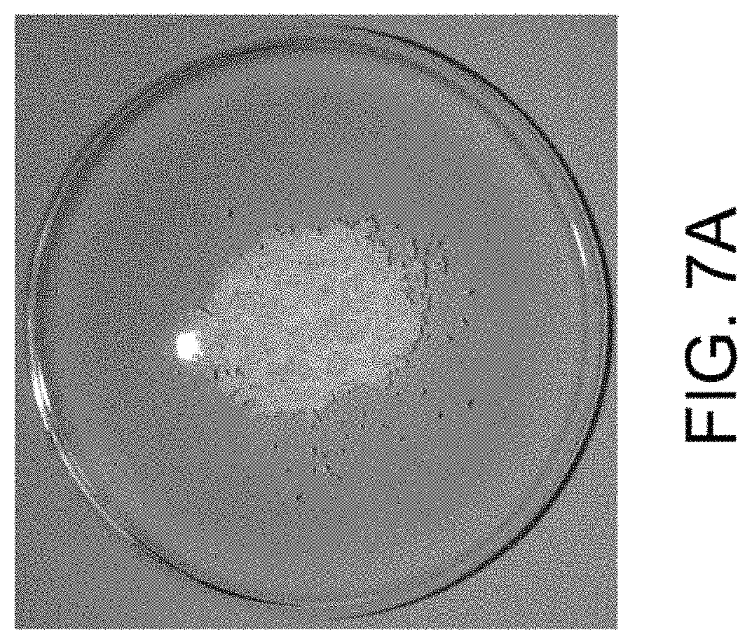 Patent US11781157 Figure 15 – Biological devices for producing oxidized zinc and applications thereof