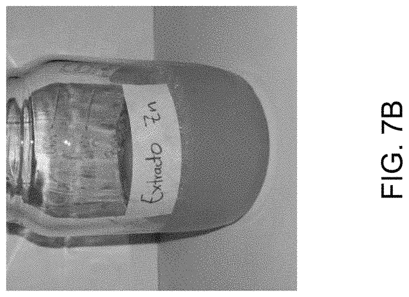 Patent US11781157 Figure 16 – Biological devices for producing oxidized zinc and applications thereof