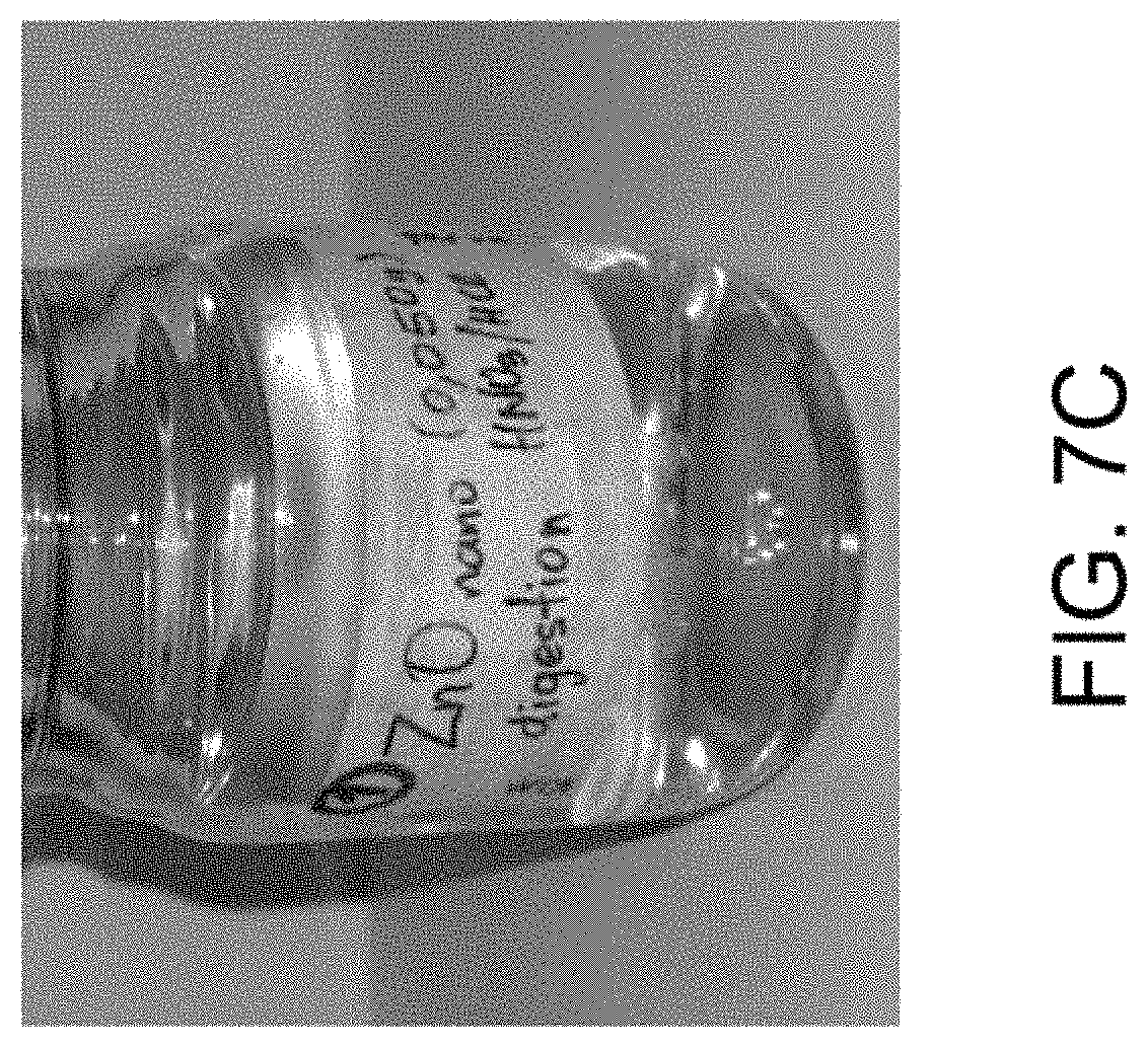 Patent US11781157 Figure 17 – Biological devices for producing oxidized zinc and applications thereof