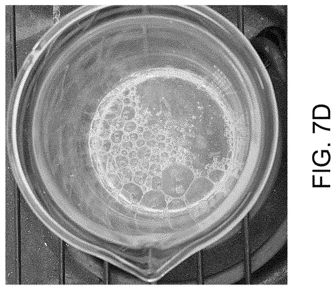 Patent US11781157 Figure 18 – Biological devices for producing oxidized zinc and applications thereof