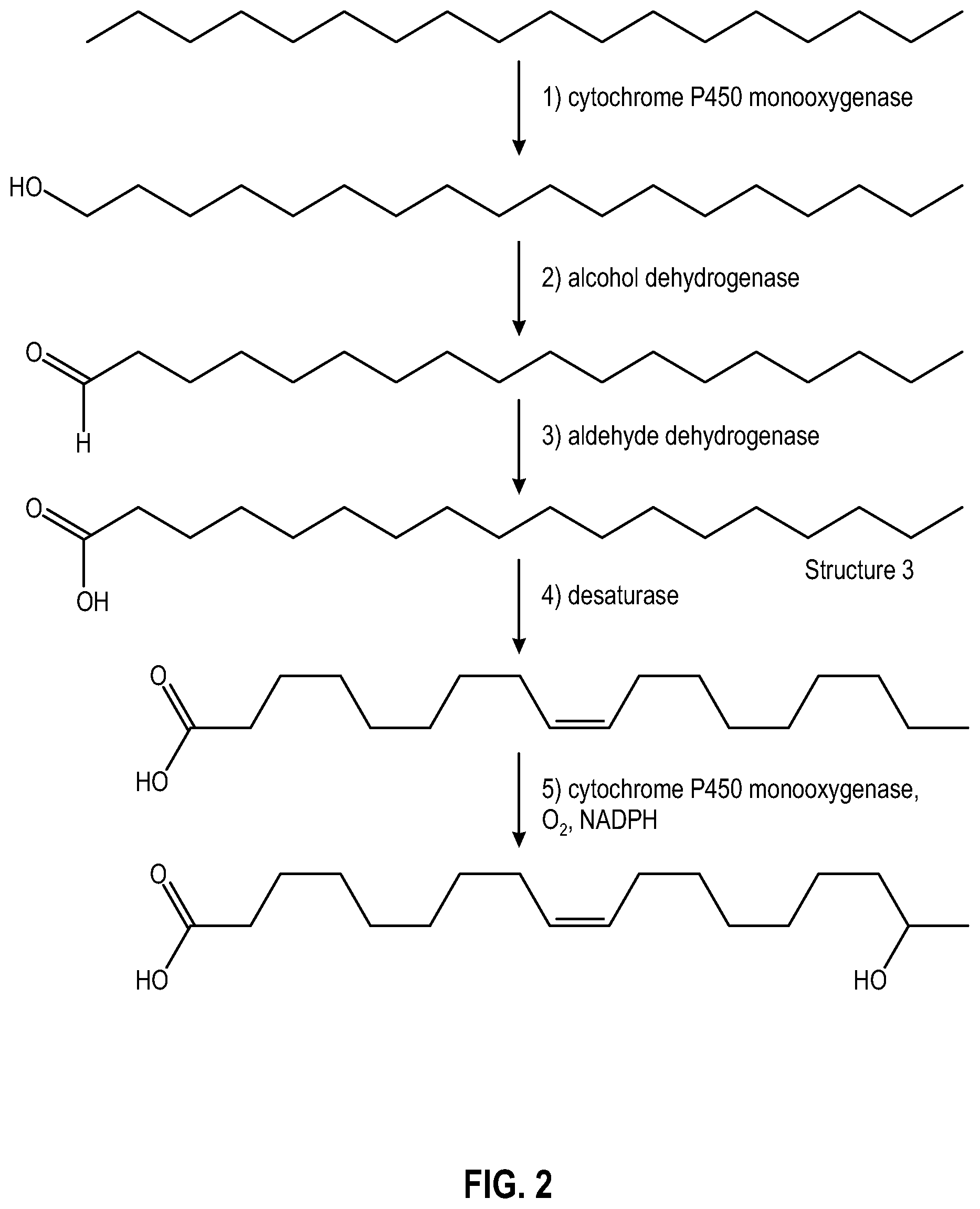 Patent US11781159 Figure 2 – Formation and isolation of hydroxycarboxylic acids via a sophorolipid intermediate