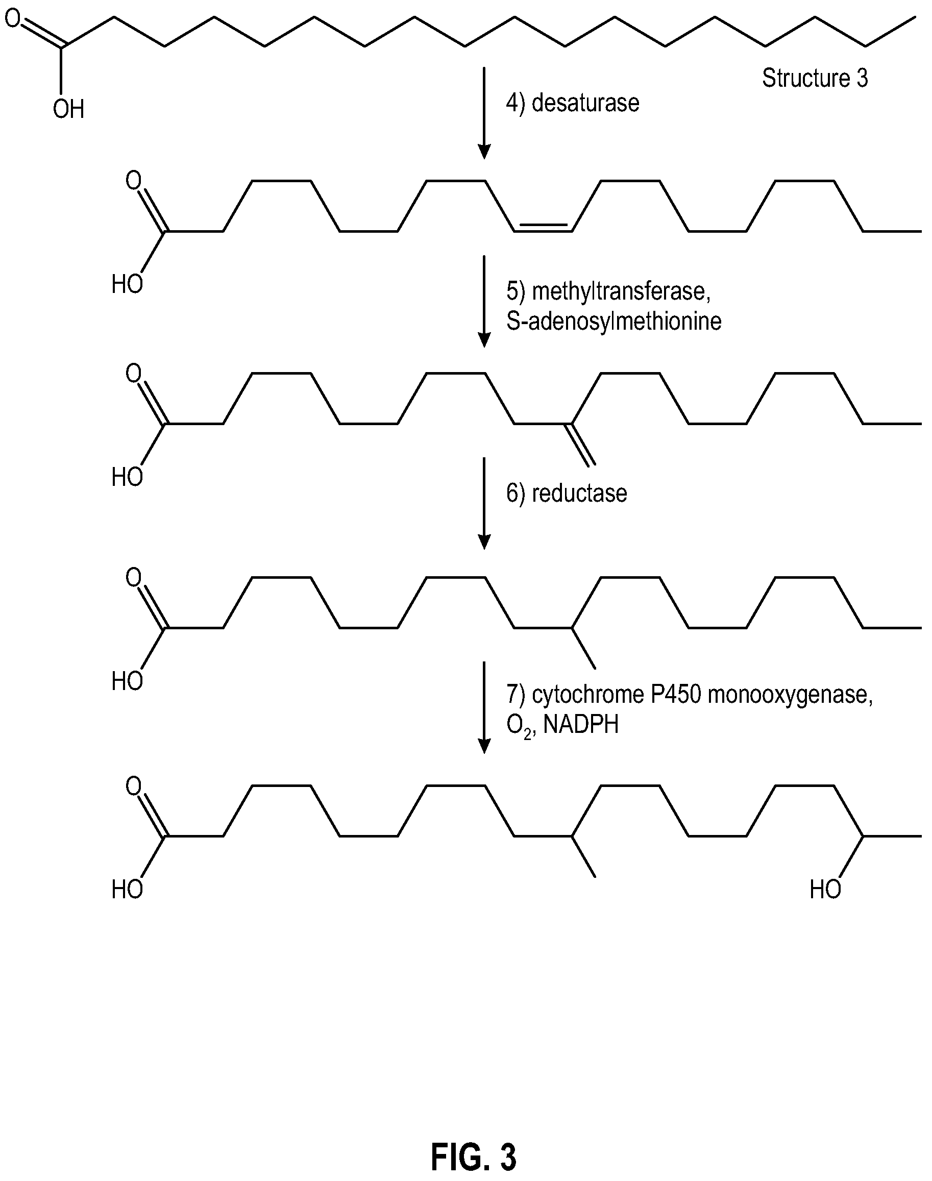 Patent US11781159 Figure 3 – Formation and isolation of hydroxycarboxylic acids via a sophorolipid intermediate