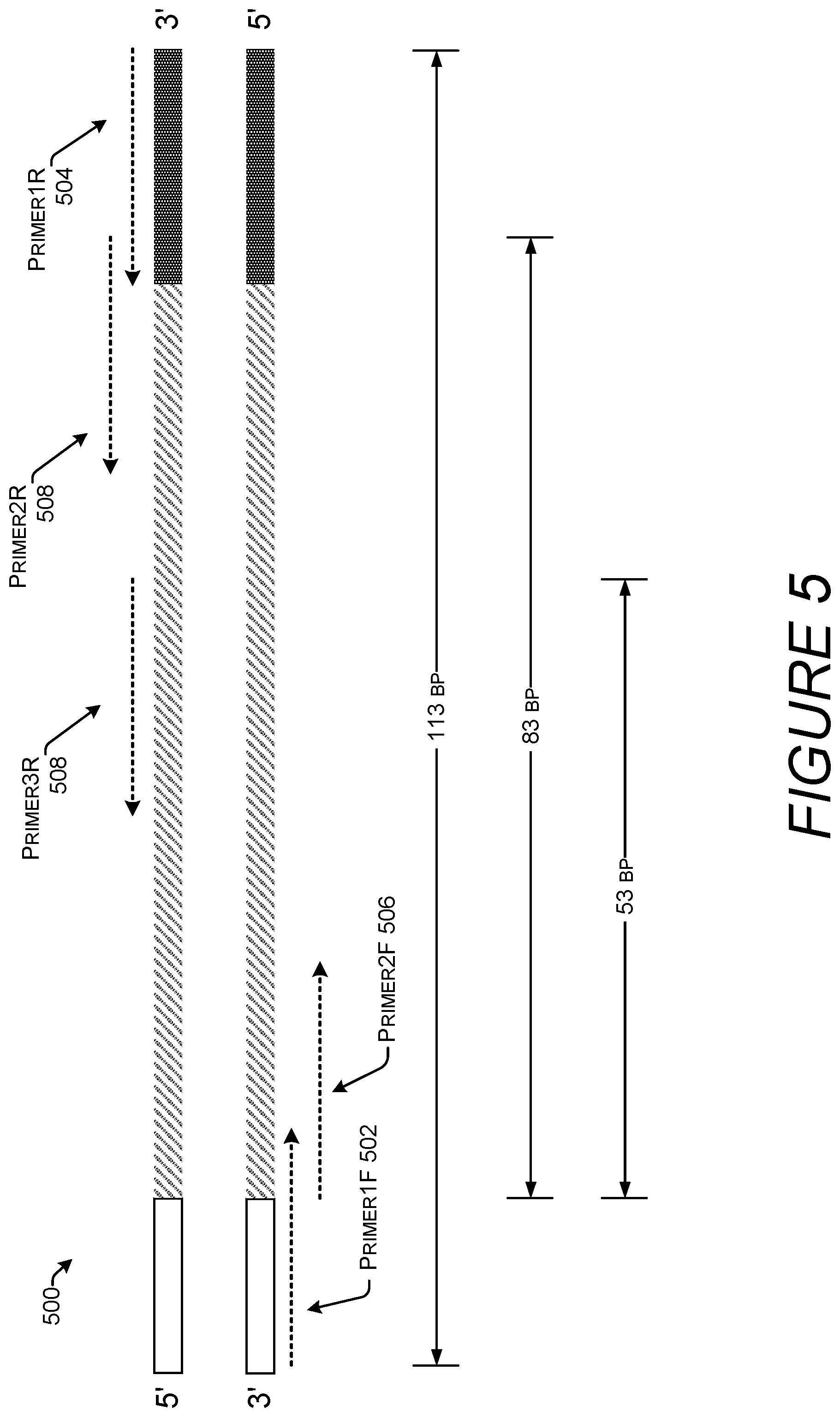 Patent US11781169 Figure 5 – Enzymatic DNA repair