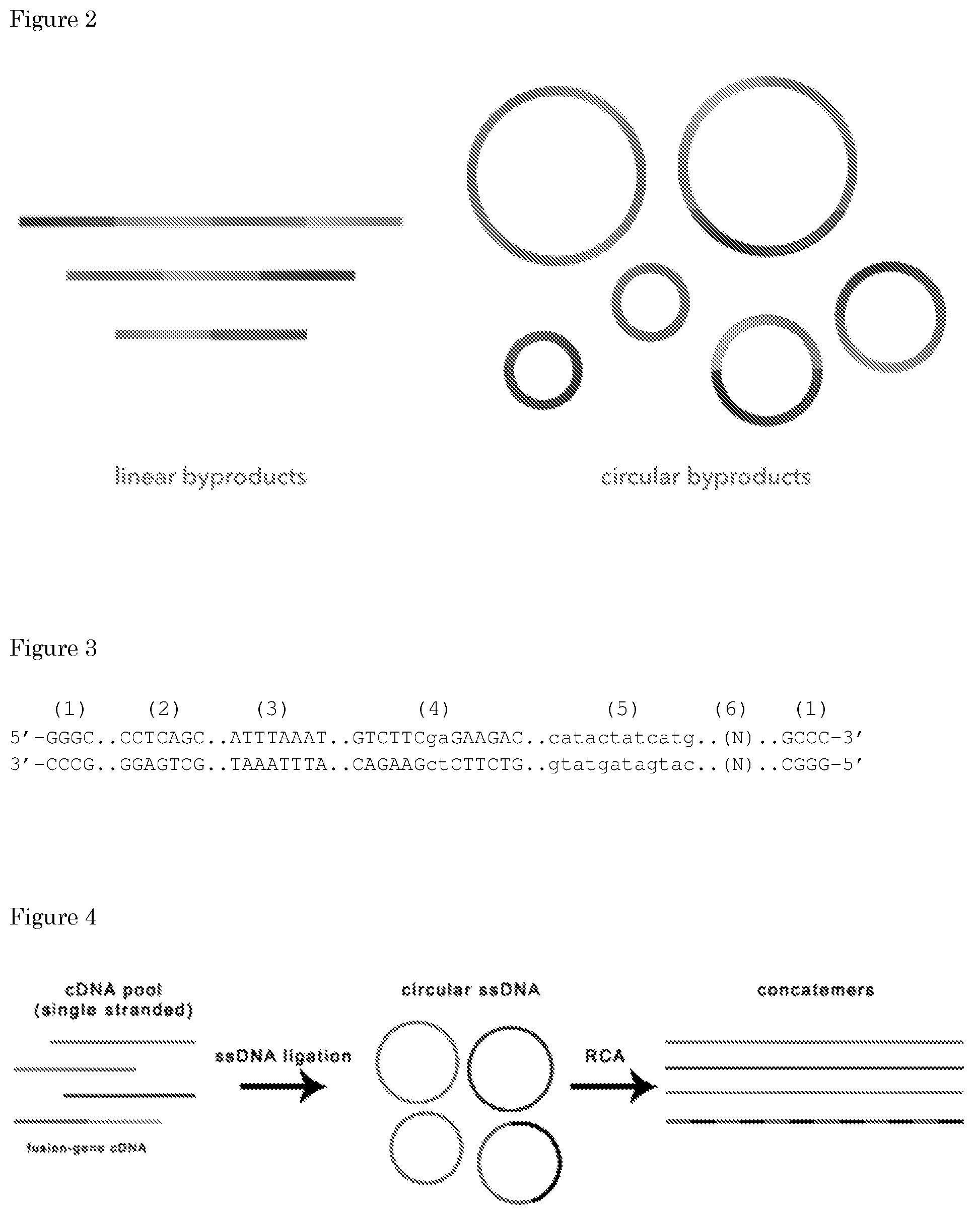 Patent US11781170 Figure 2 – Methods for preparing nucleic acid molecules for sequencing