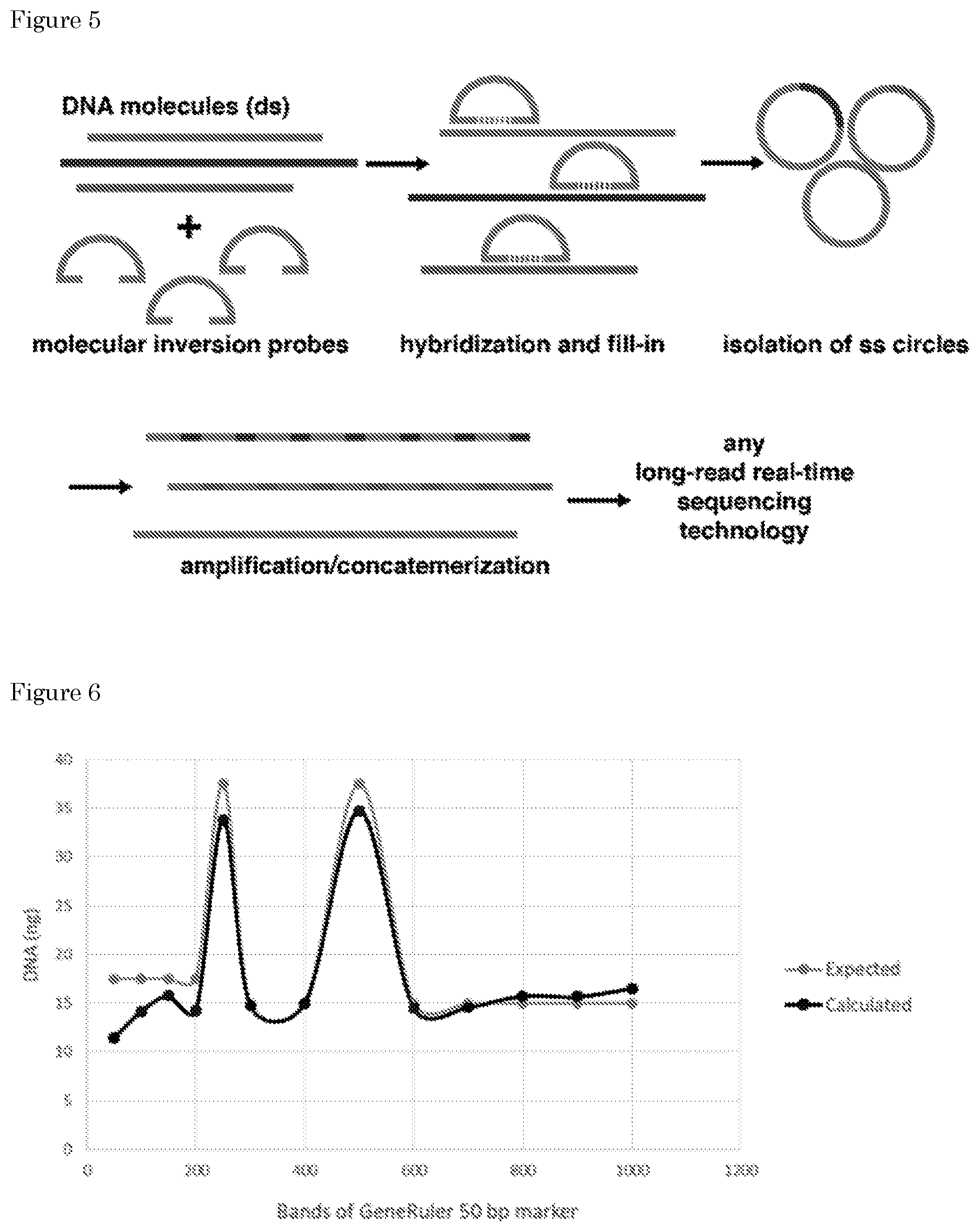 Patent US11781170 Figure 3 – Methods for preparing nucleic acid molecules for sequencing