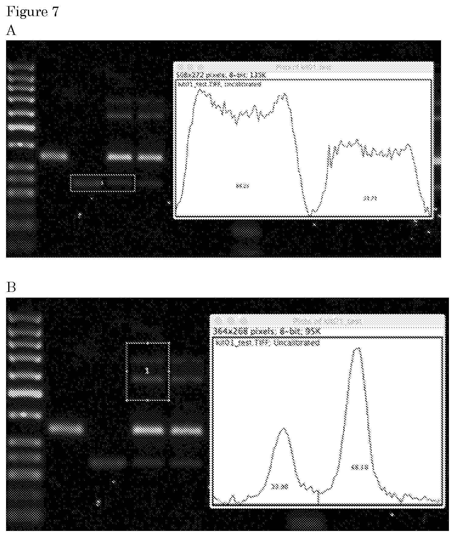 Patent US11781170 Figure 4 – Methods for preparing nucleic acid molecules for sequencing