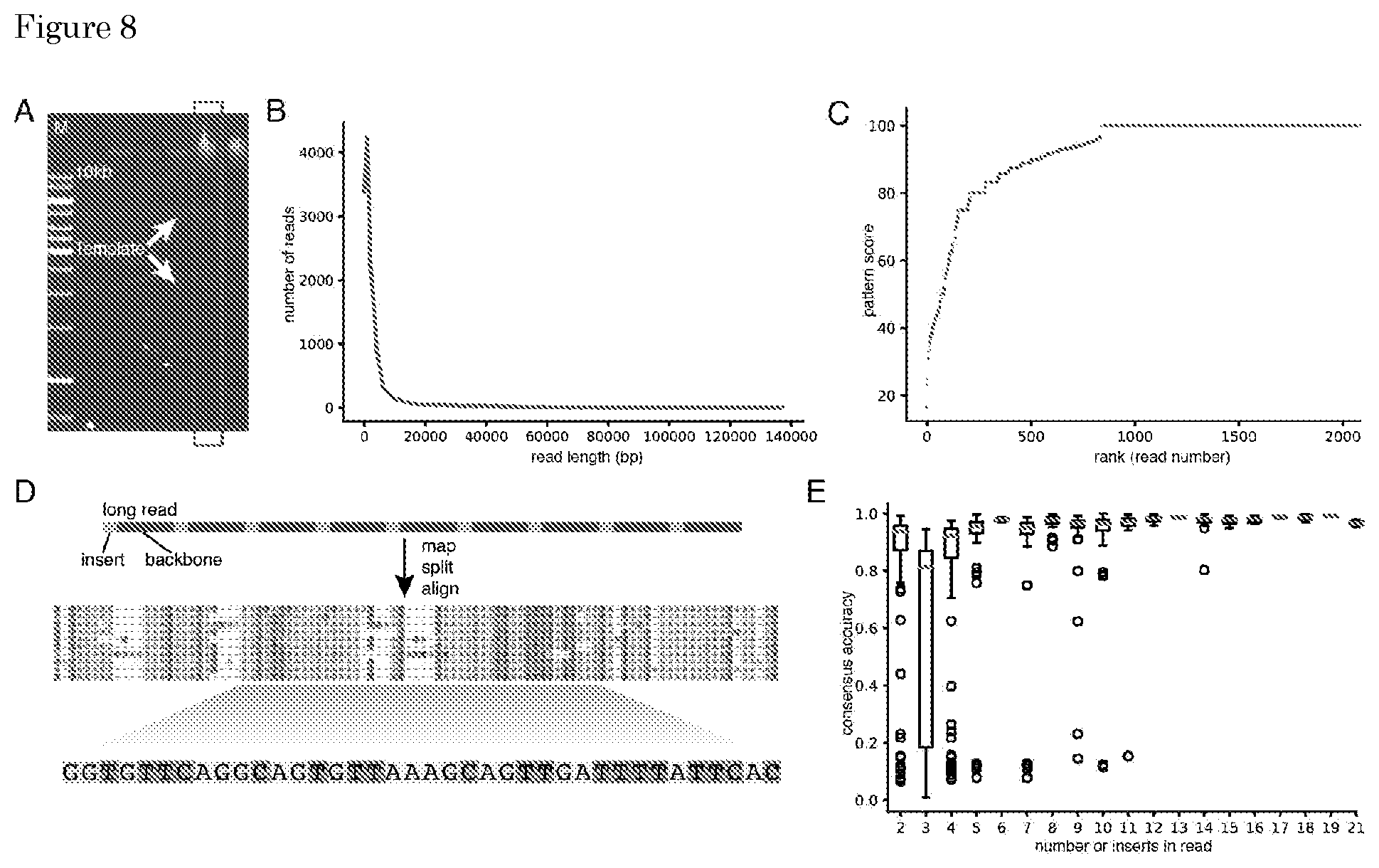 Patent US11781170 Figure 5 – Methods for preparing nucleic acid molecules for sequencing