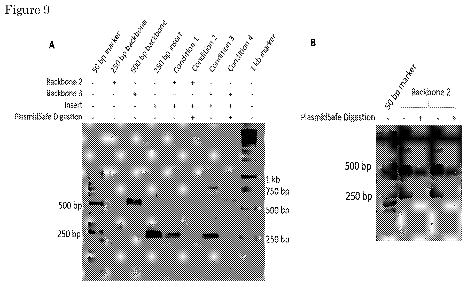 Patent US11781170 Figure 6 – Methods for preparing nucleic acid molecules for sequencing