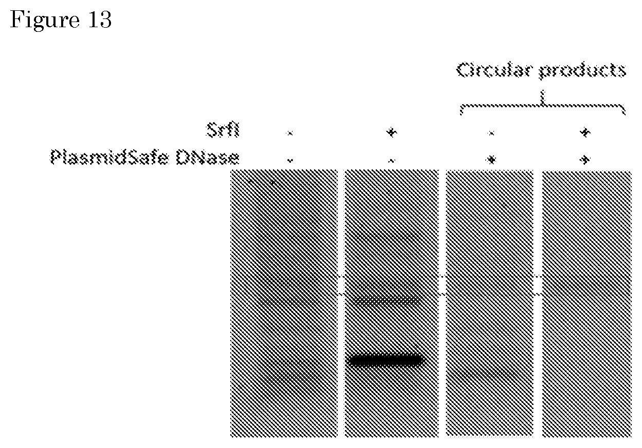 Patent US11781170 Figure 9 – Methods for preparing nucleic acid molecules for sequencing