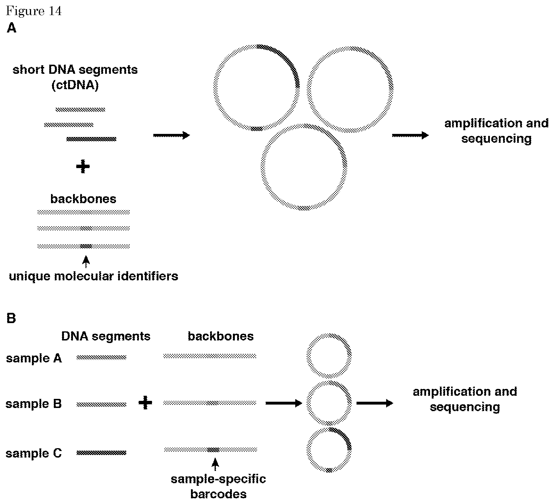 Patent US11781170 Figure 10 – Methods for preparing nucleic acid molecules for sequencing