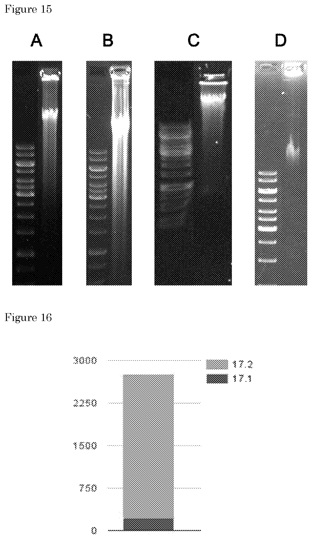 Patent US11781170 Figure 11 – Methods for preparing nucleic acid molecules for sequencing