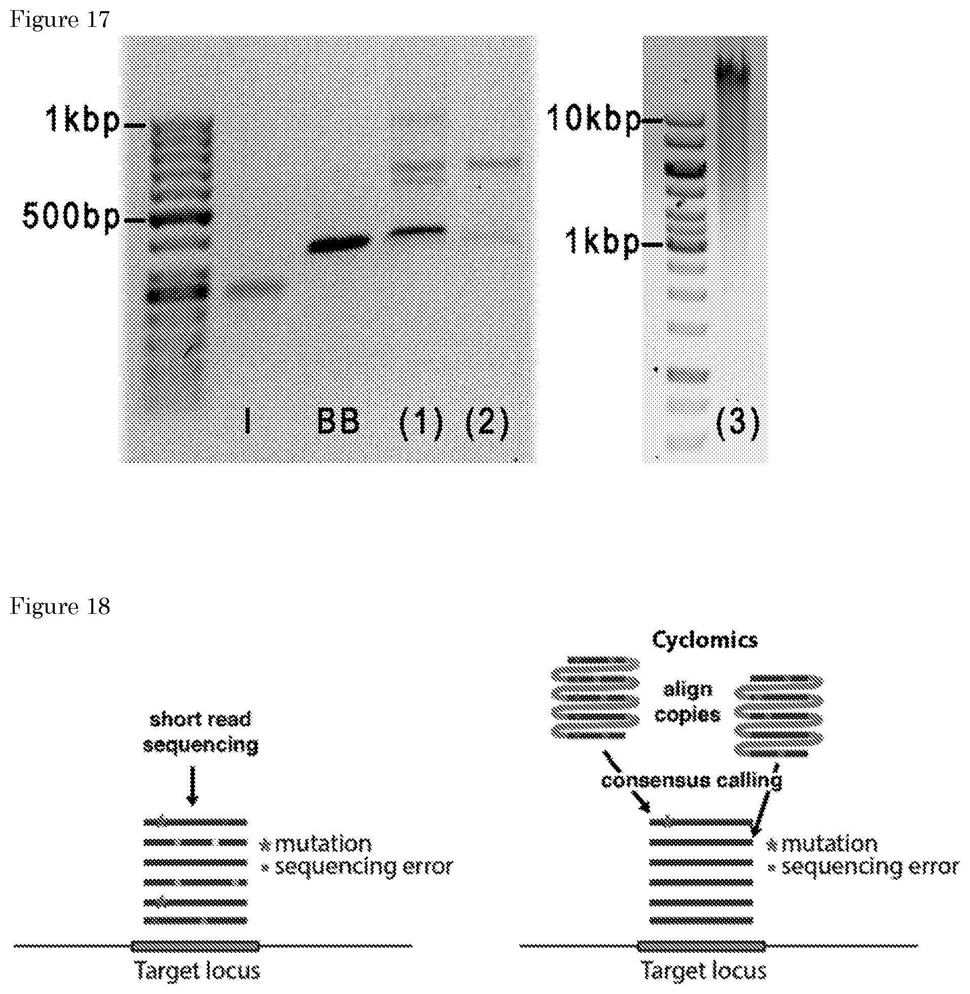 Patent US11781170 Figure 12 – Methods for preparing nucleic acid molecules for sequencing