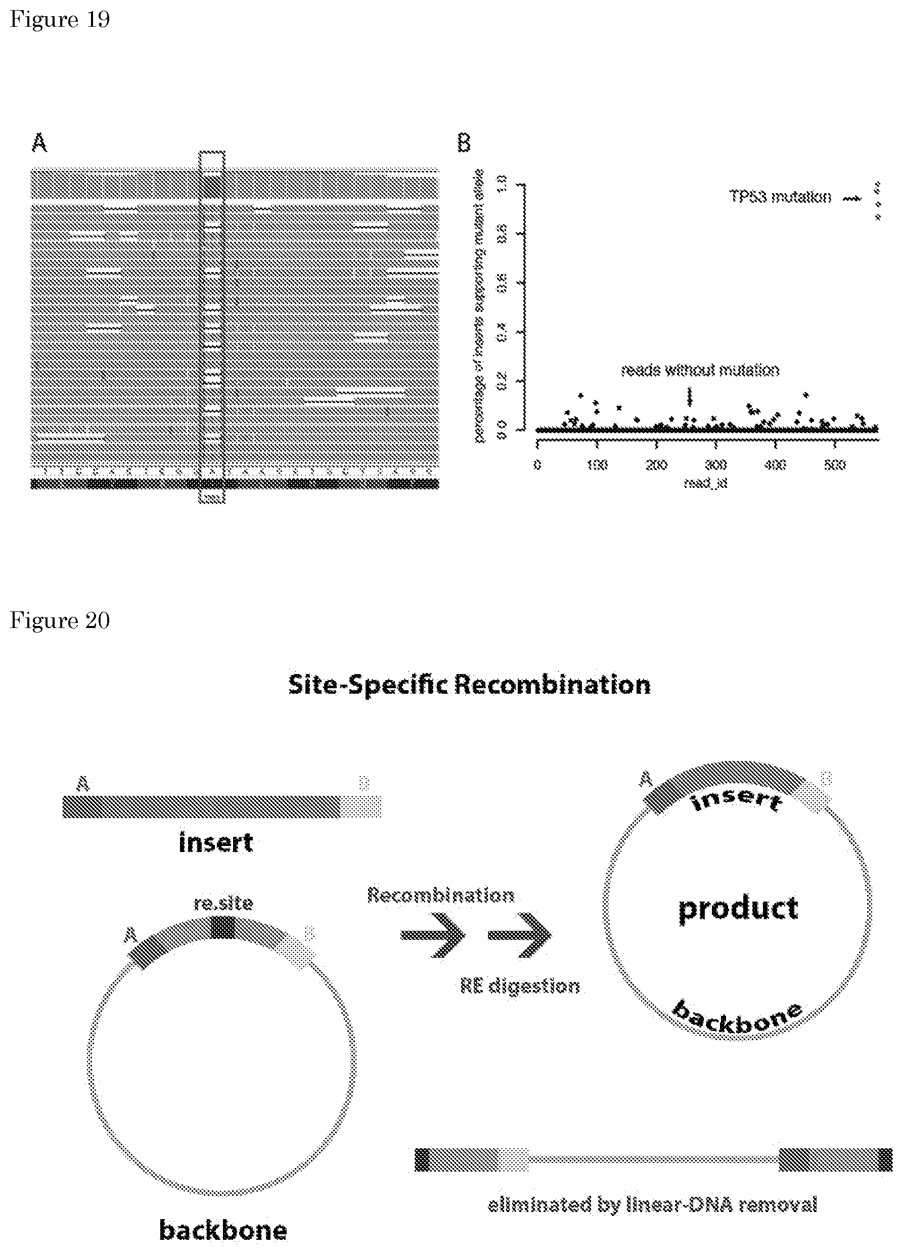 Patent US11781170 Figure 13 – Methods for preparing nucleic acid molecules for sequencing