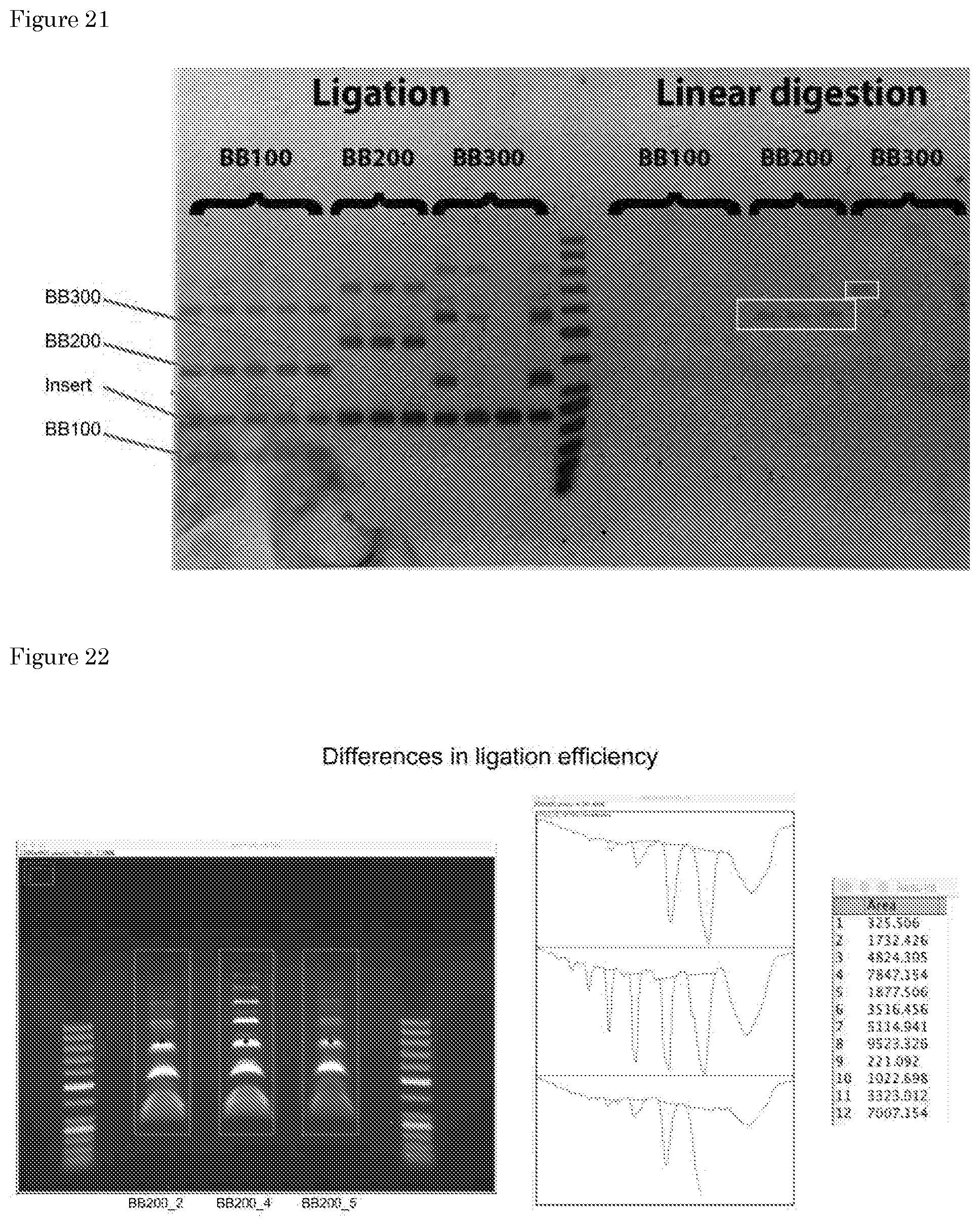 Patent US11781170 Figure 14 – Methods for preparing nucleic acid molecules for sequencing