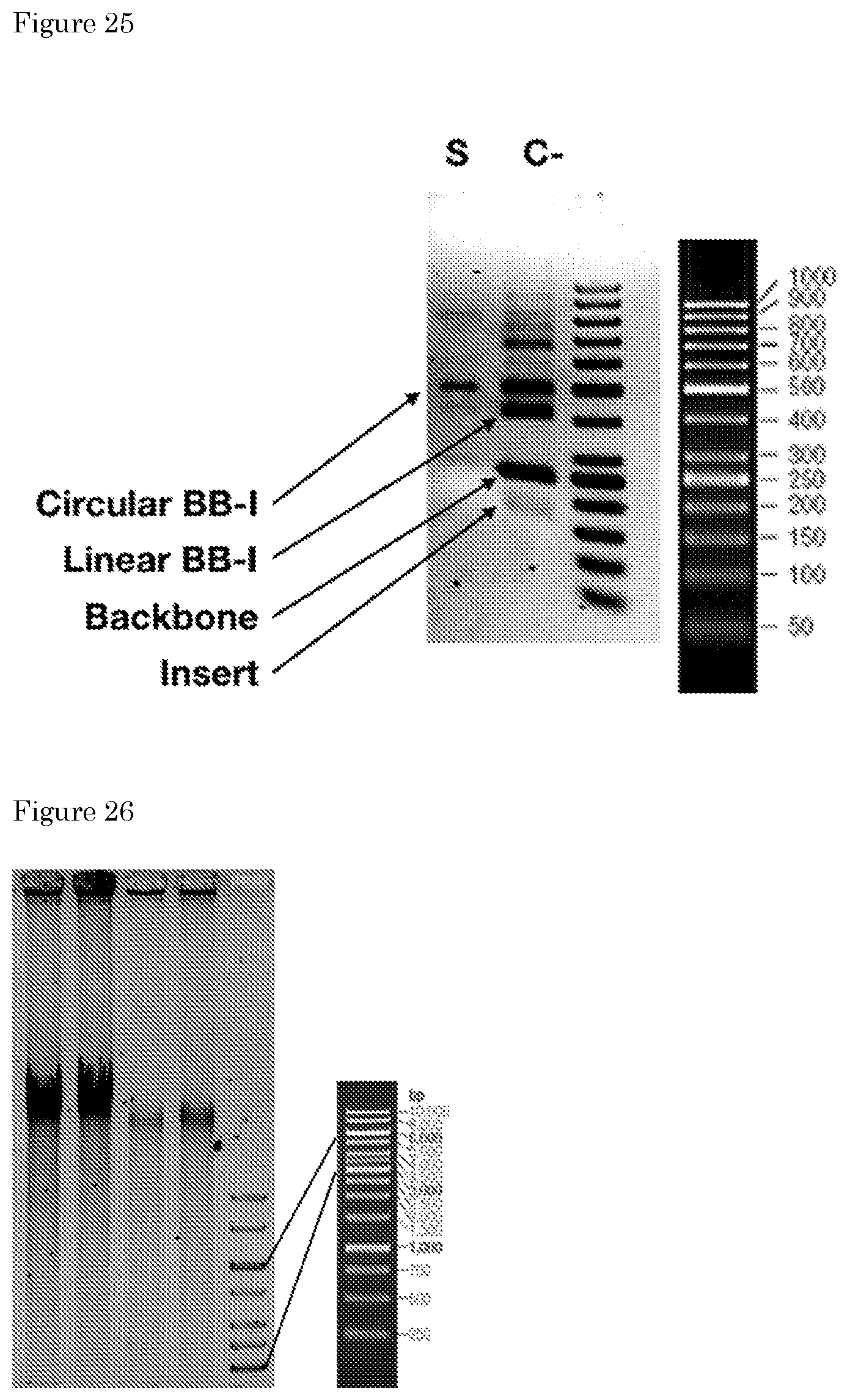Patent US11781170 Figure 16 – Methods for preparing nucleic acid molecules for sequencing