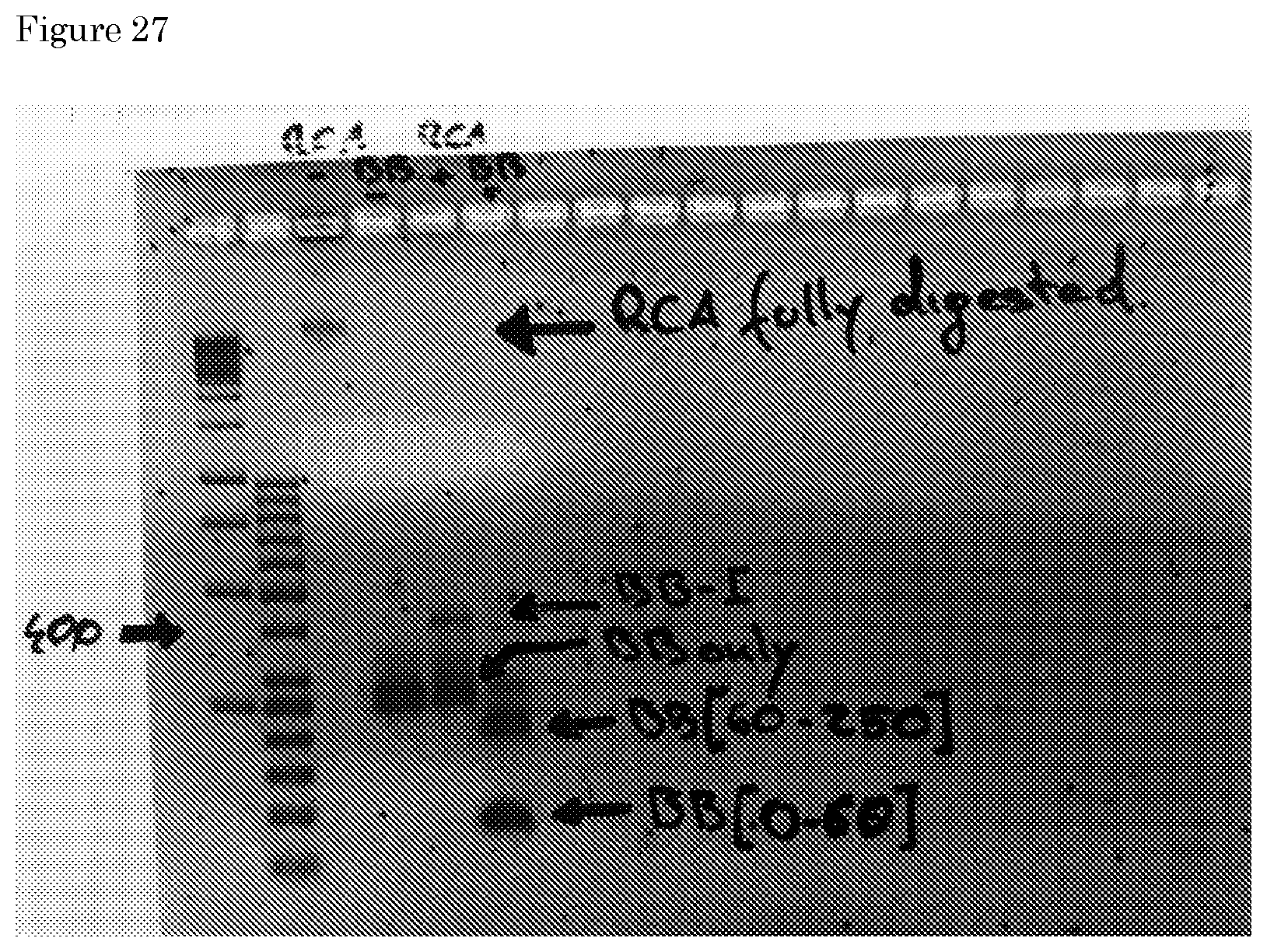 Patent US11781170 Figure 17 – Methods for preparing nucleic acid molecules for sequencing