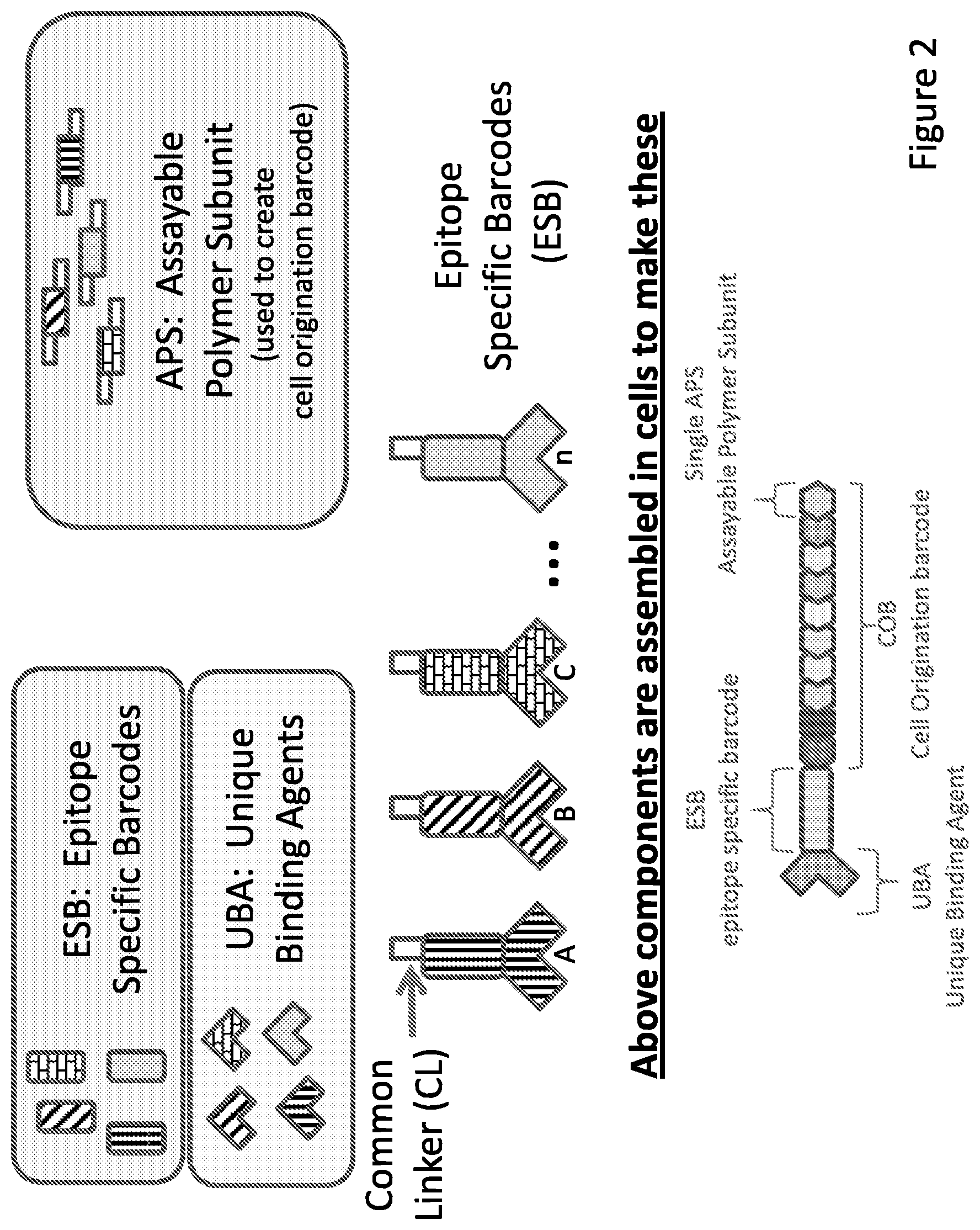 Patent US11781171 Figure 2 – Methods of identifying multiple epitopes in cells