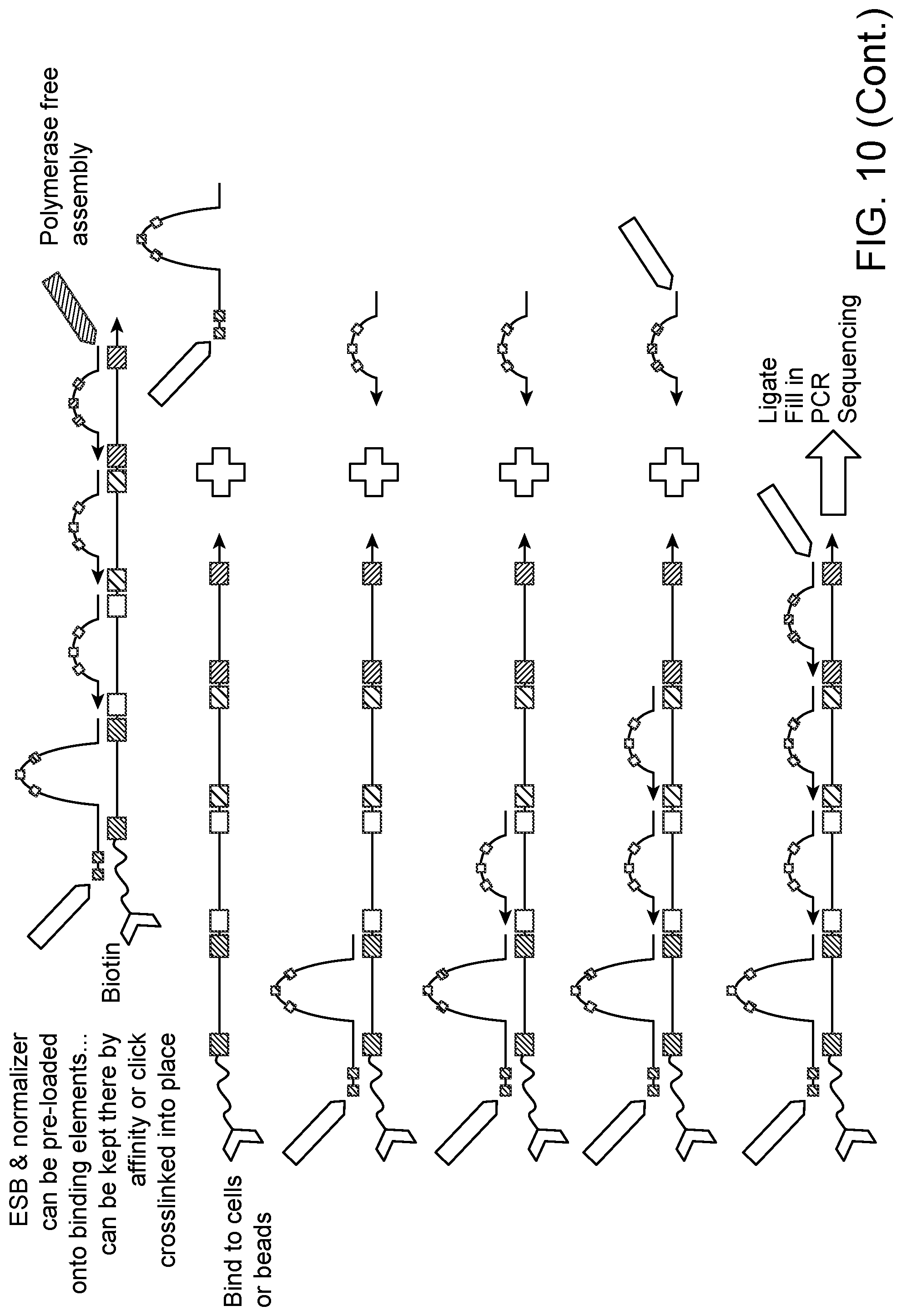 Patent US11781171 Figure 12 – Methods of identifying multiple epitopes in cells