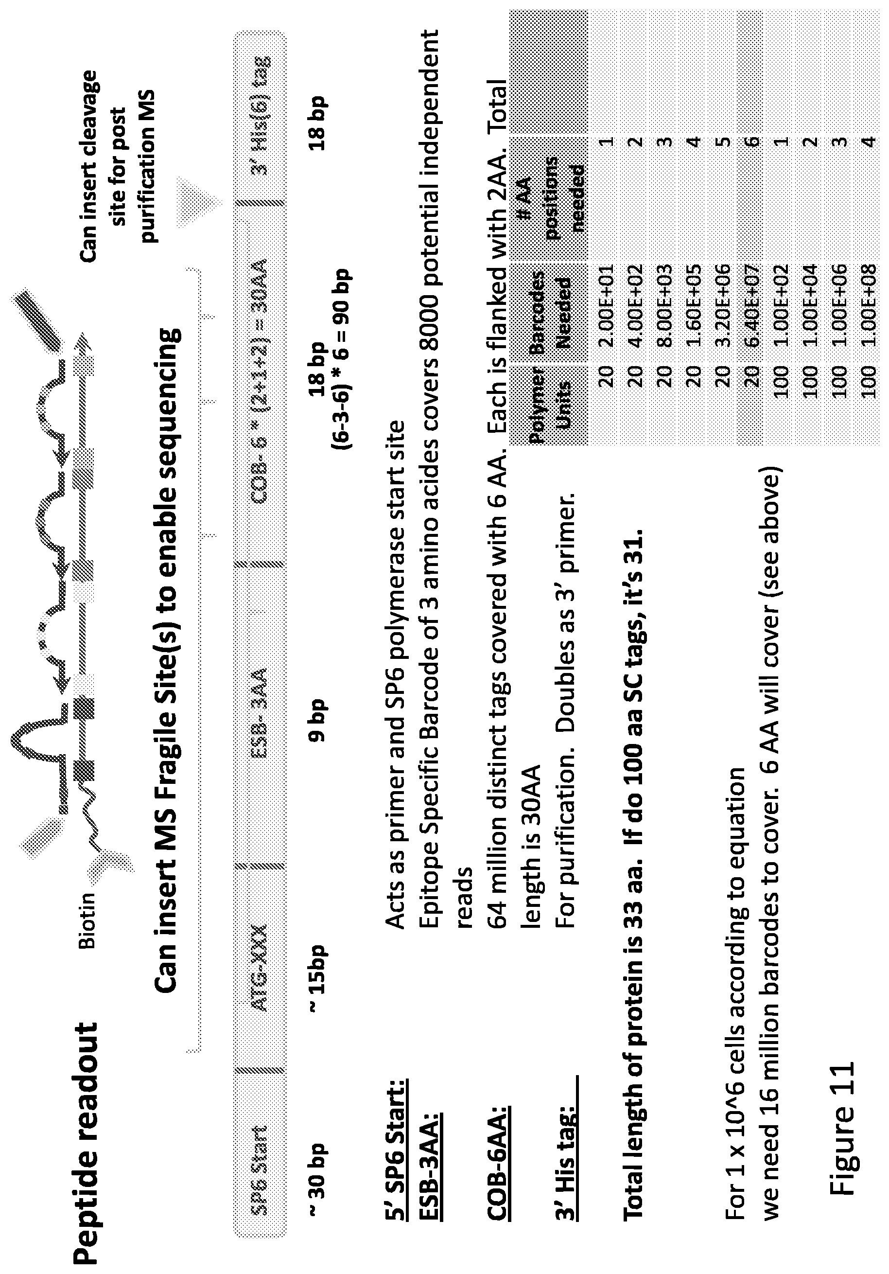 Patent US11781171 Figure 13 – Methods of identifying multiple epitopes in cells