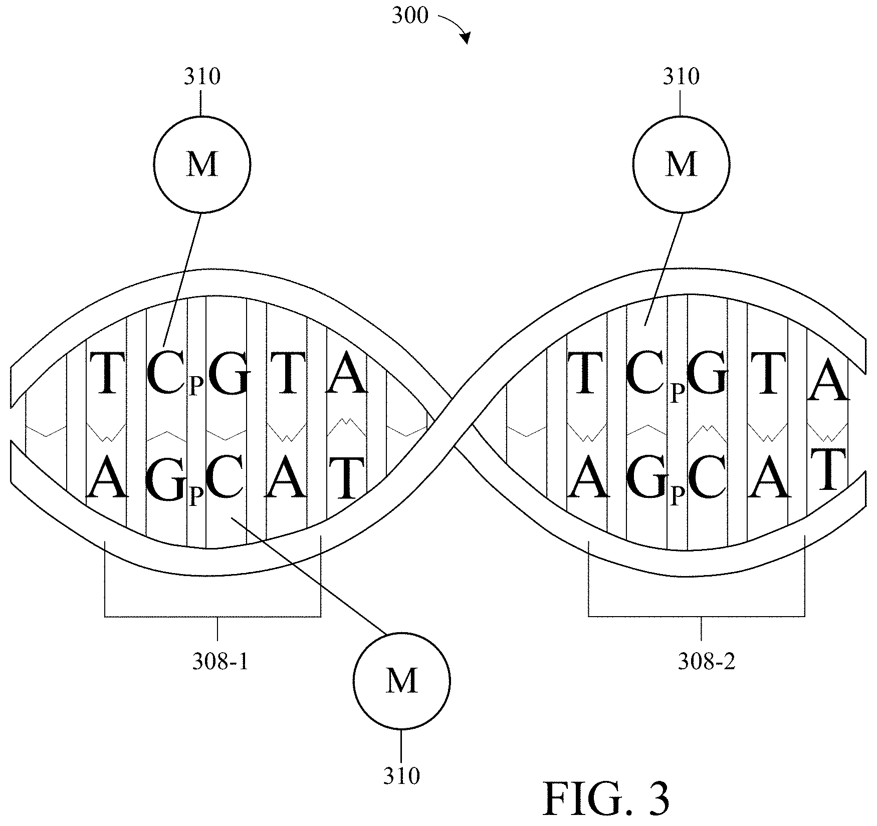 Patent US11781175 Figure 2 – PCR-based epigenetic age prediction