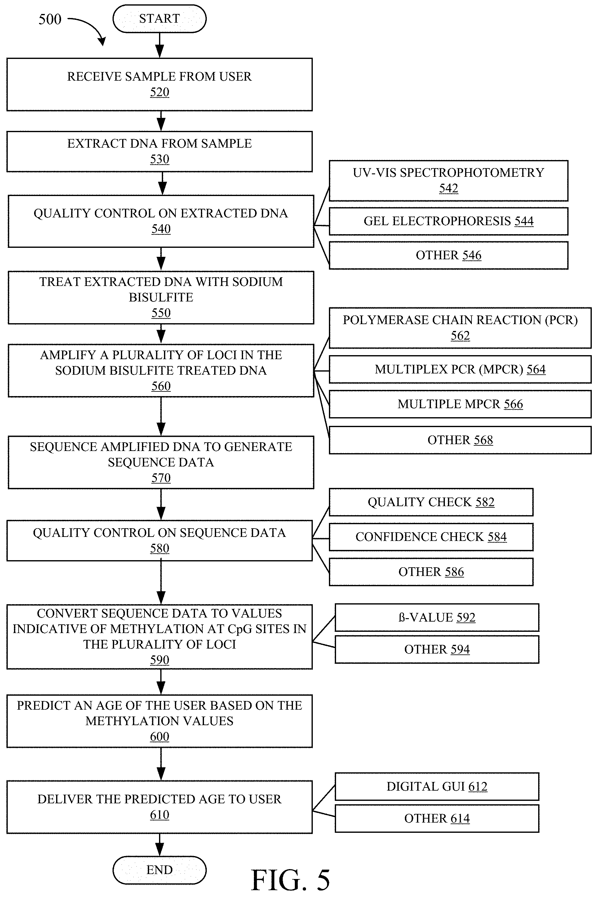 Patent US11781175 Figure 6 – PCR-based epigenetic age prediction