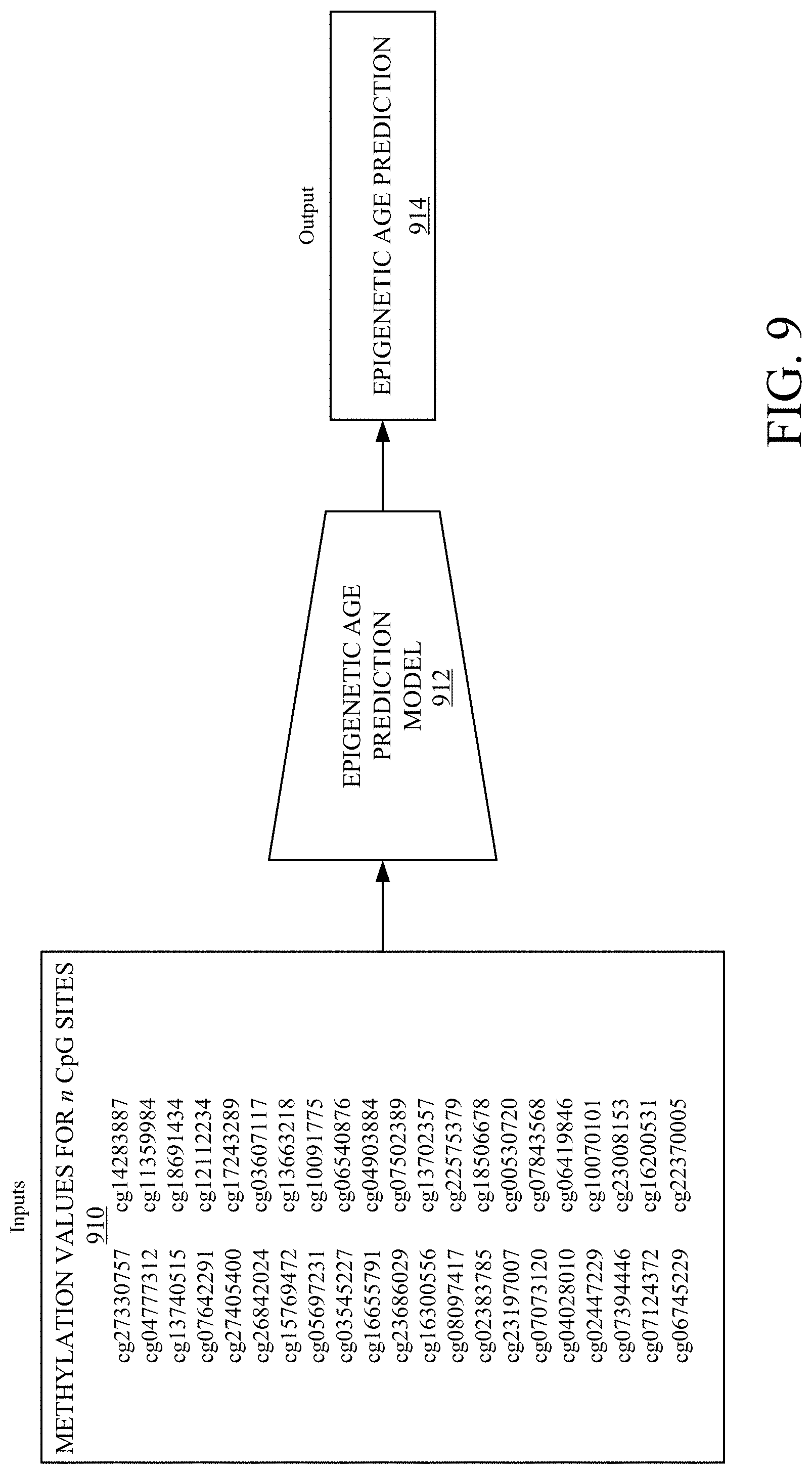 Patent US11781175 Figure 10 – PCR-based epigenetic age prediction