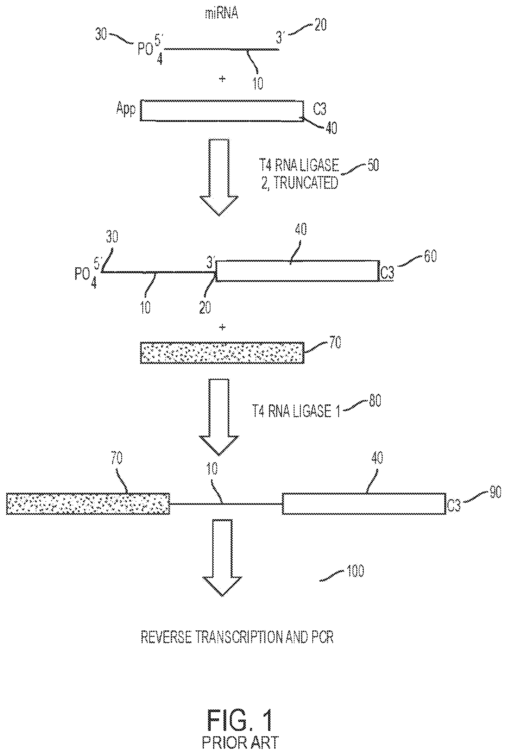 Patent US11781176 — Method for blocking miRNA — Figure 1