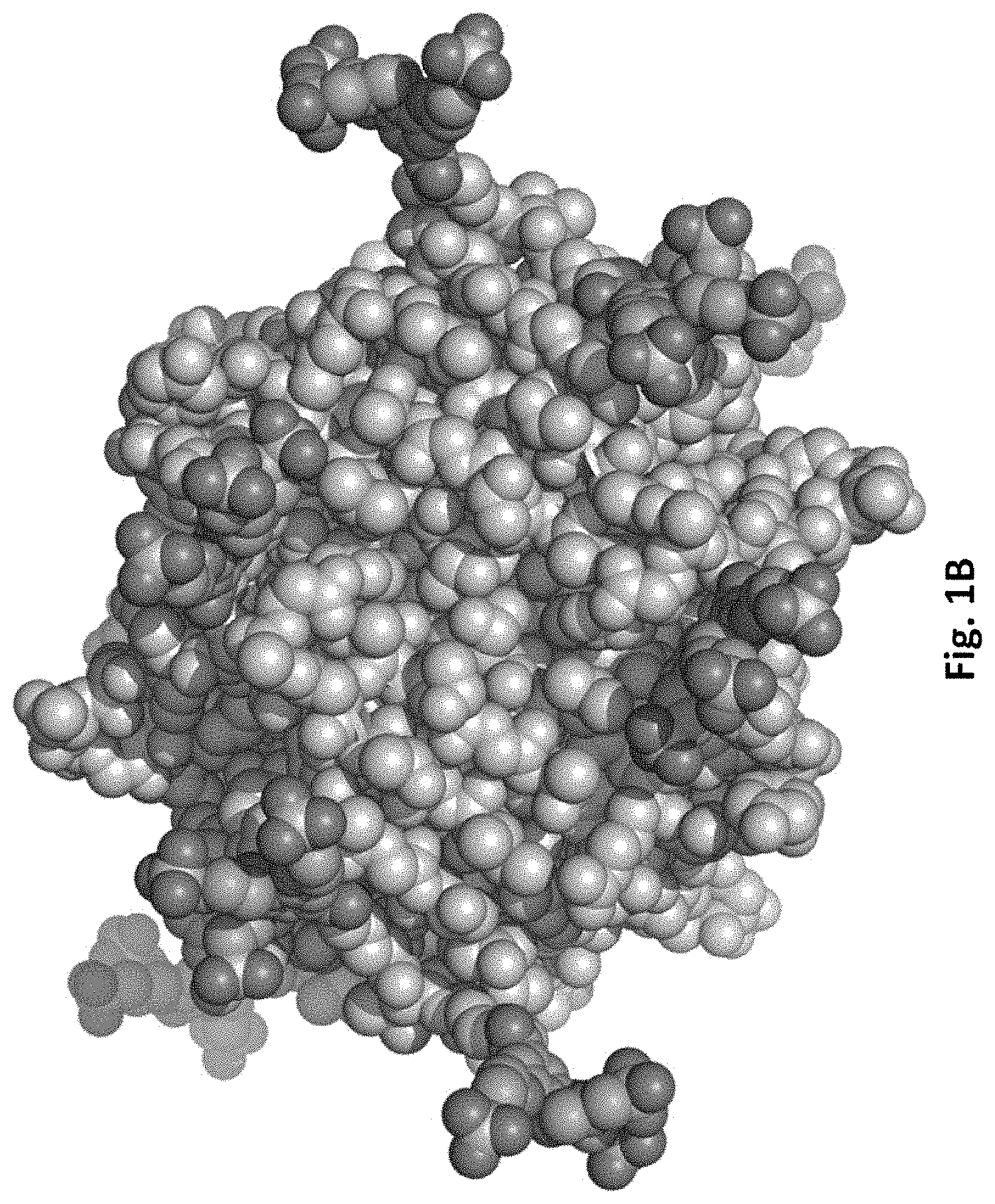 Patent US11781177 Figure 2 – Modified biotin-binding proteins for immobilization