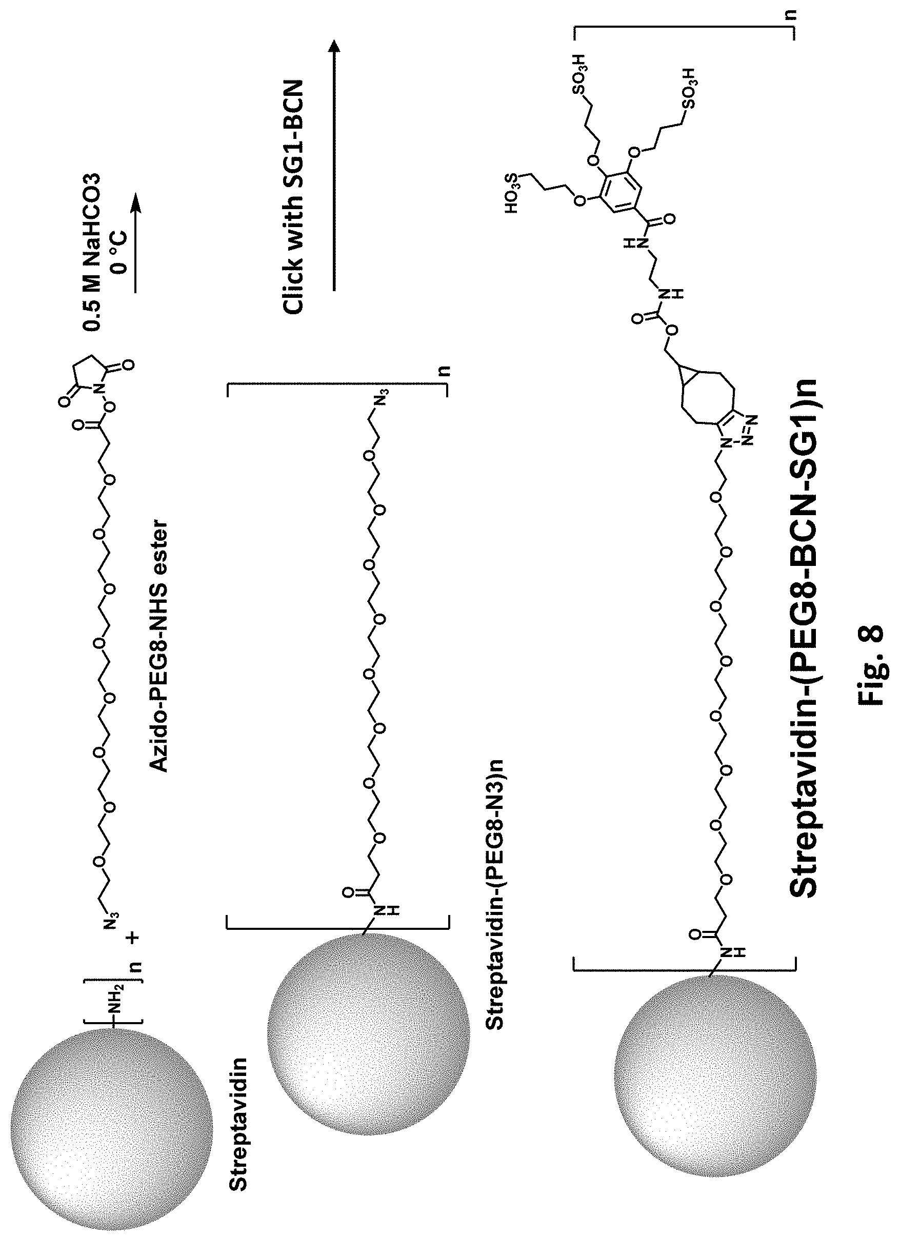 Patent US11781177 Figure 9 – Modified biotin-binding proteins for immobilization
