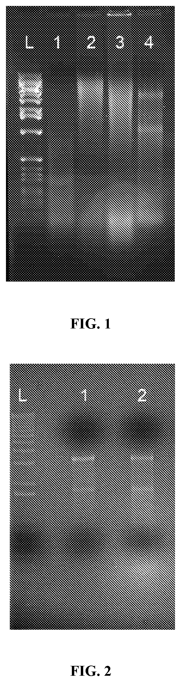 Patent US11781178 Figure 1 – Methods and compositions for the amplification of mRNA