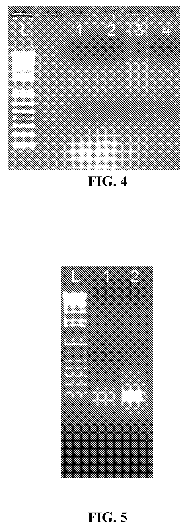 Patent US11781178 Figure 3 – Methods and compositions for the amplification of mRNA