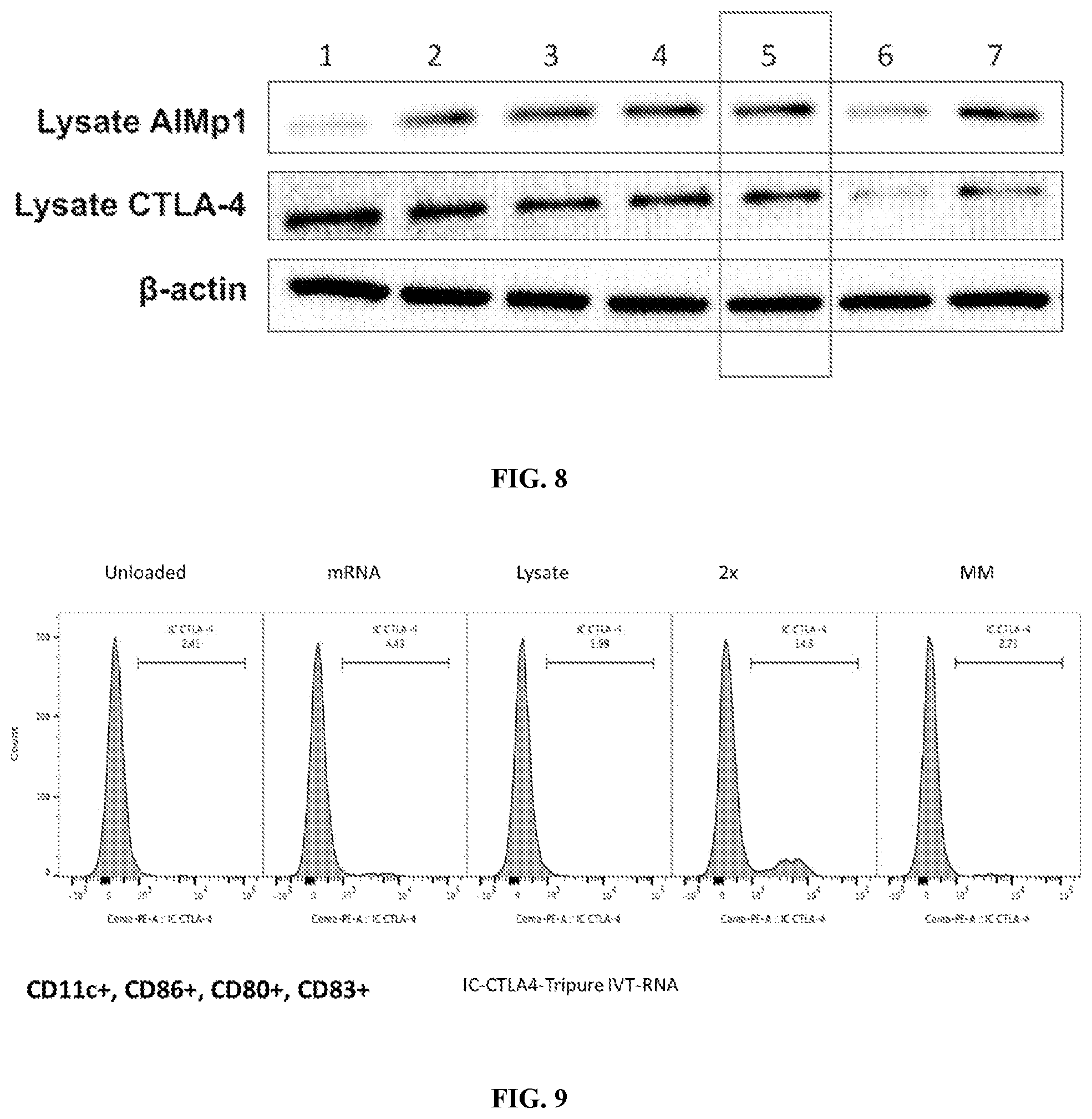 Patent US11781178 Figure 6 – Methods and compositions for the amplification of mRNA