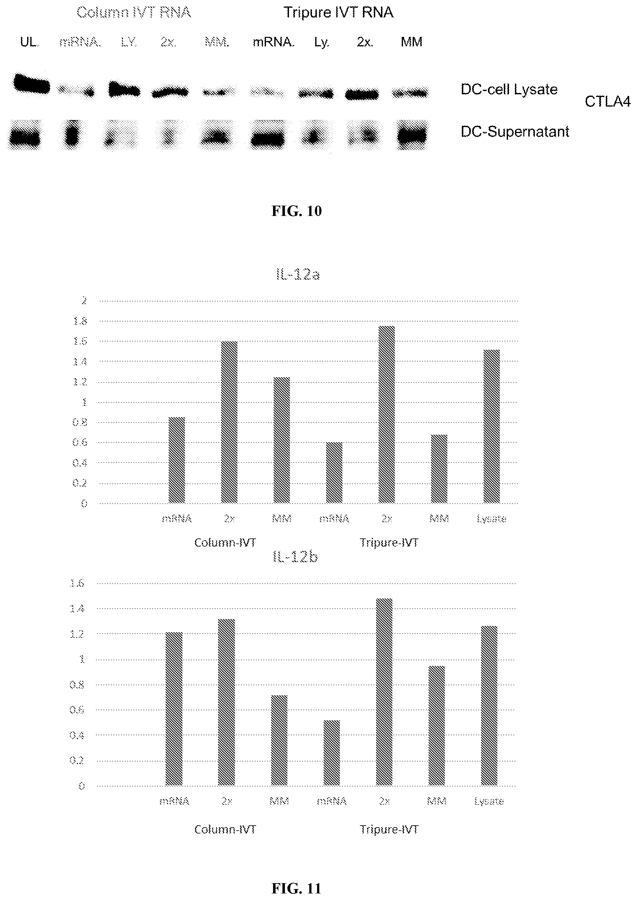 Patent US11781178 Figure 7 – Methods and compositions for the amplification of mRNA