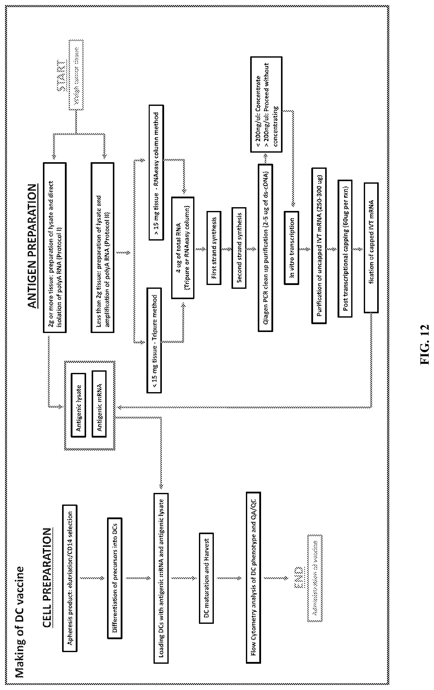 Patent US11781178 Figure 8 – Methods and compositions for the amplification of mRNA
