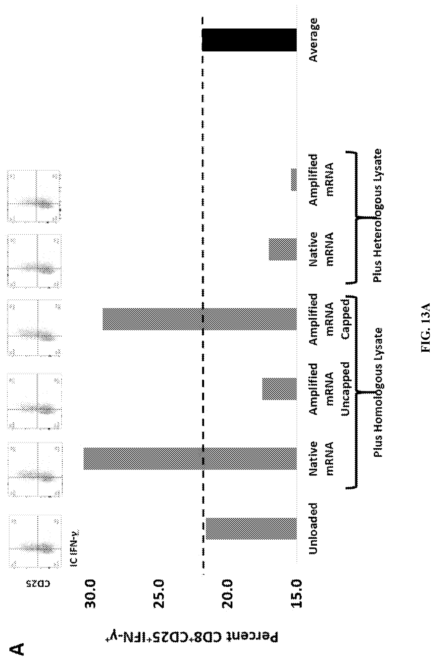Patent US11781178 Figure 9 – Methods and compositions for the amplification of mRNA