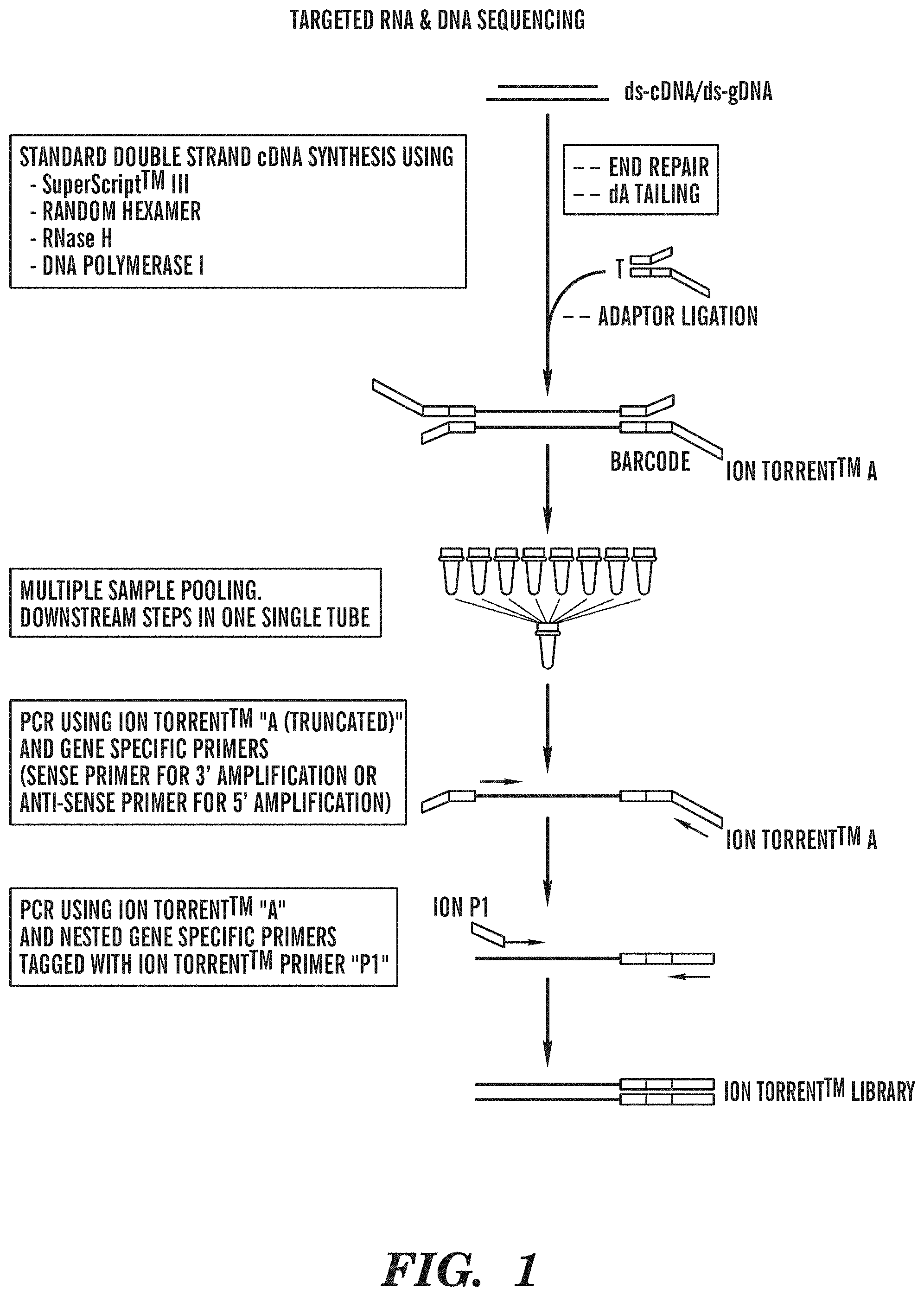 Patent US11781179 Figure 1 – Methods for determining a nucleotide sequence contiguous to a known target nucleotide sequence