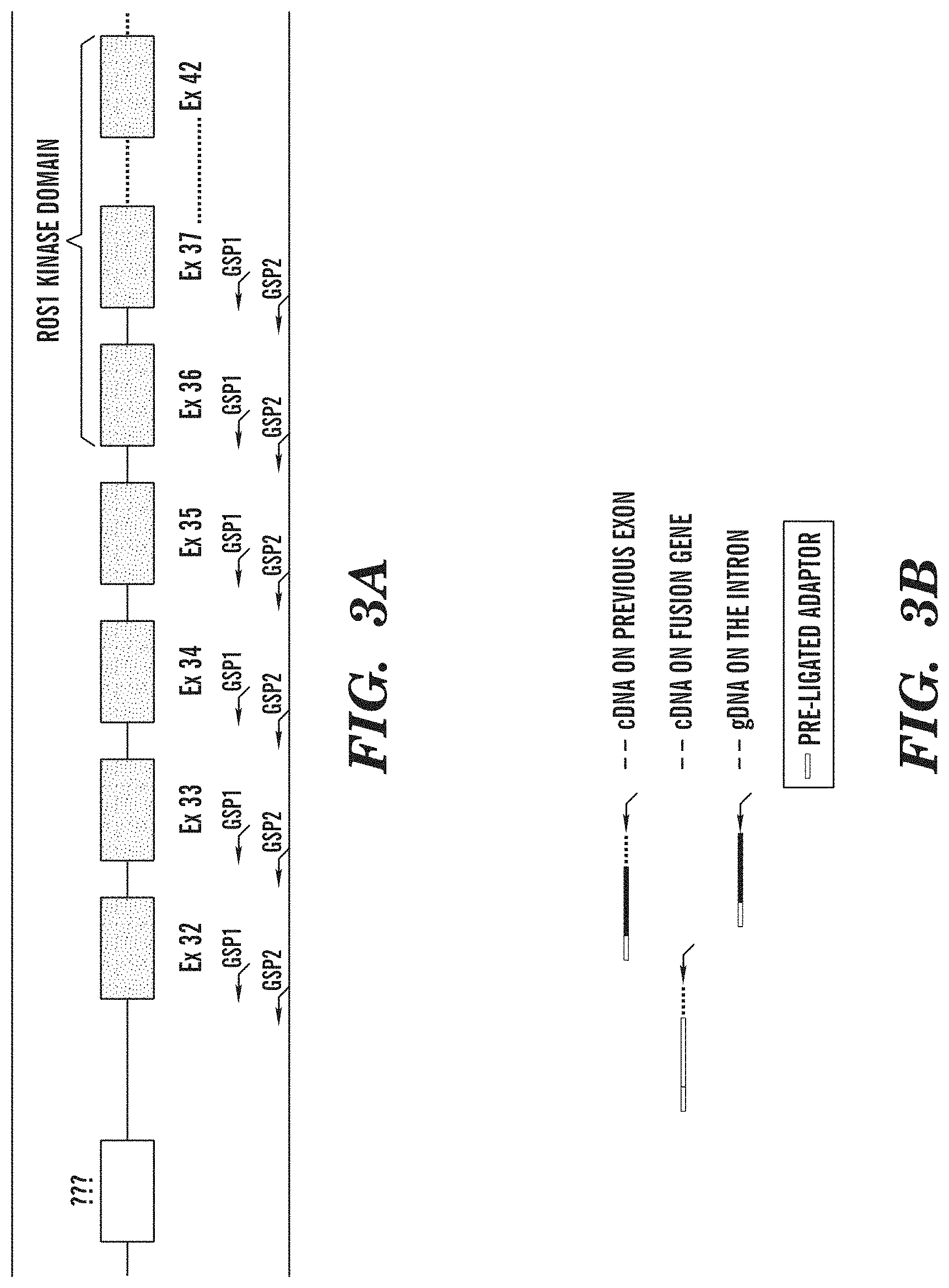 Patent US11781179 Figure 3 – Methods for determining a nucleotide sequence contiguous to a known target nucleotide sequence