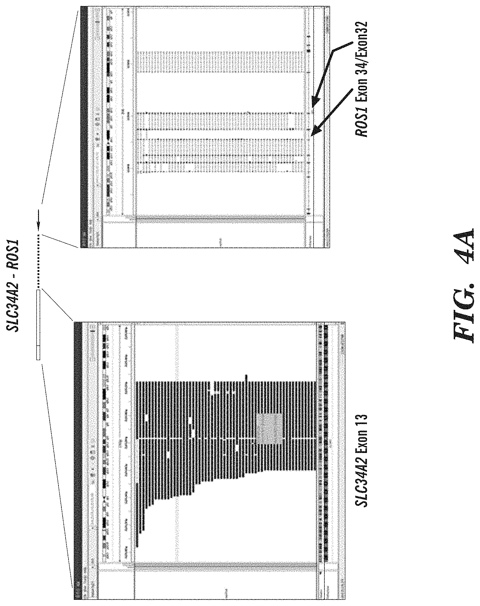 Patent US11781179 Figure 4 – Methods for determining a nucleotide sequence contiguous to a known target nucleotide sequence