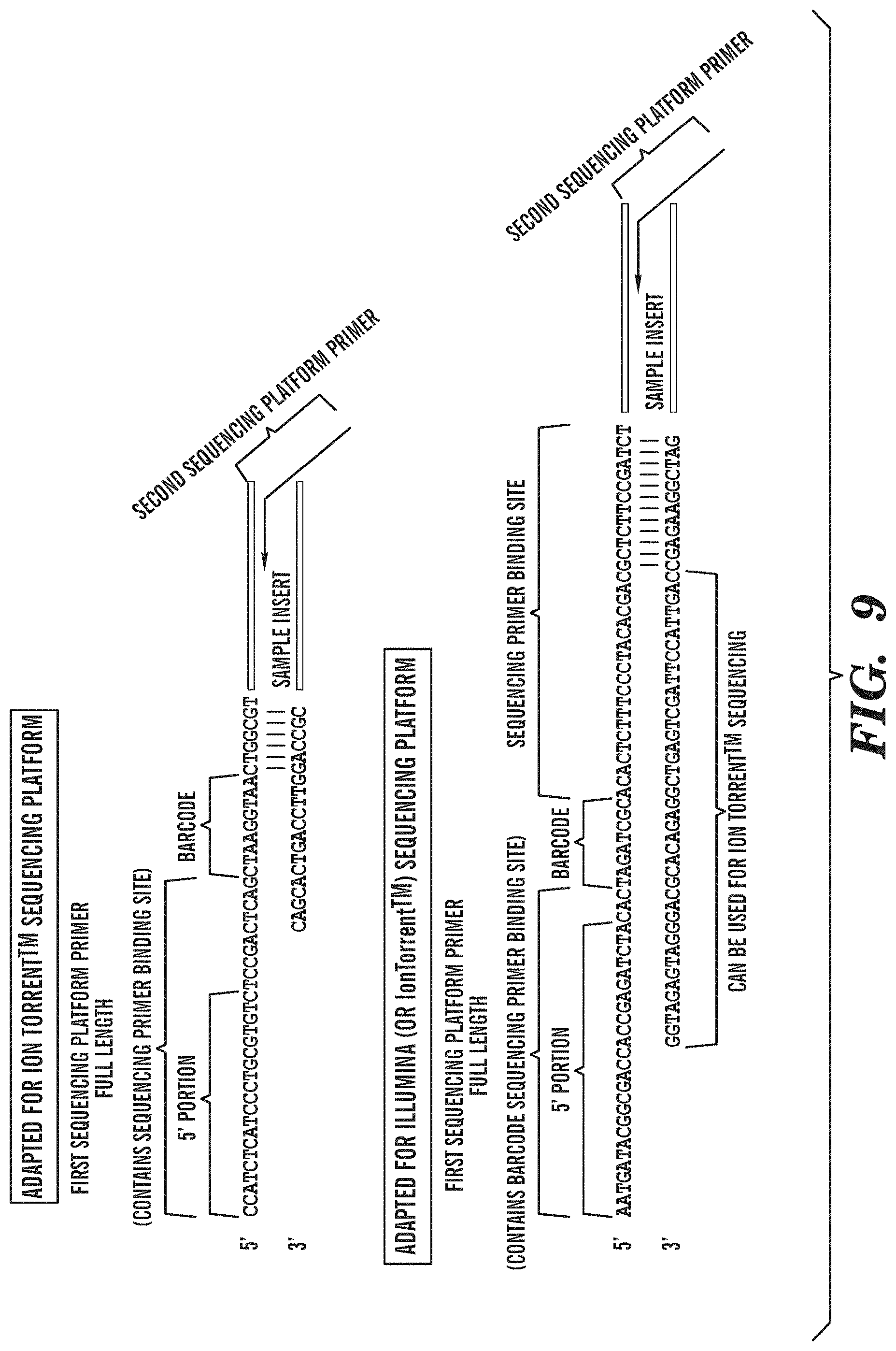 Patent US11781179 Figure 11 – Methods for determining a nucleotide sequence contiguous to a known target nucleotide sequence