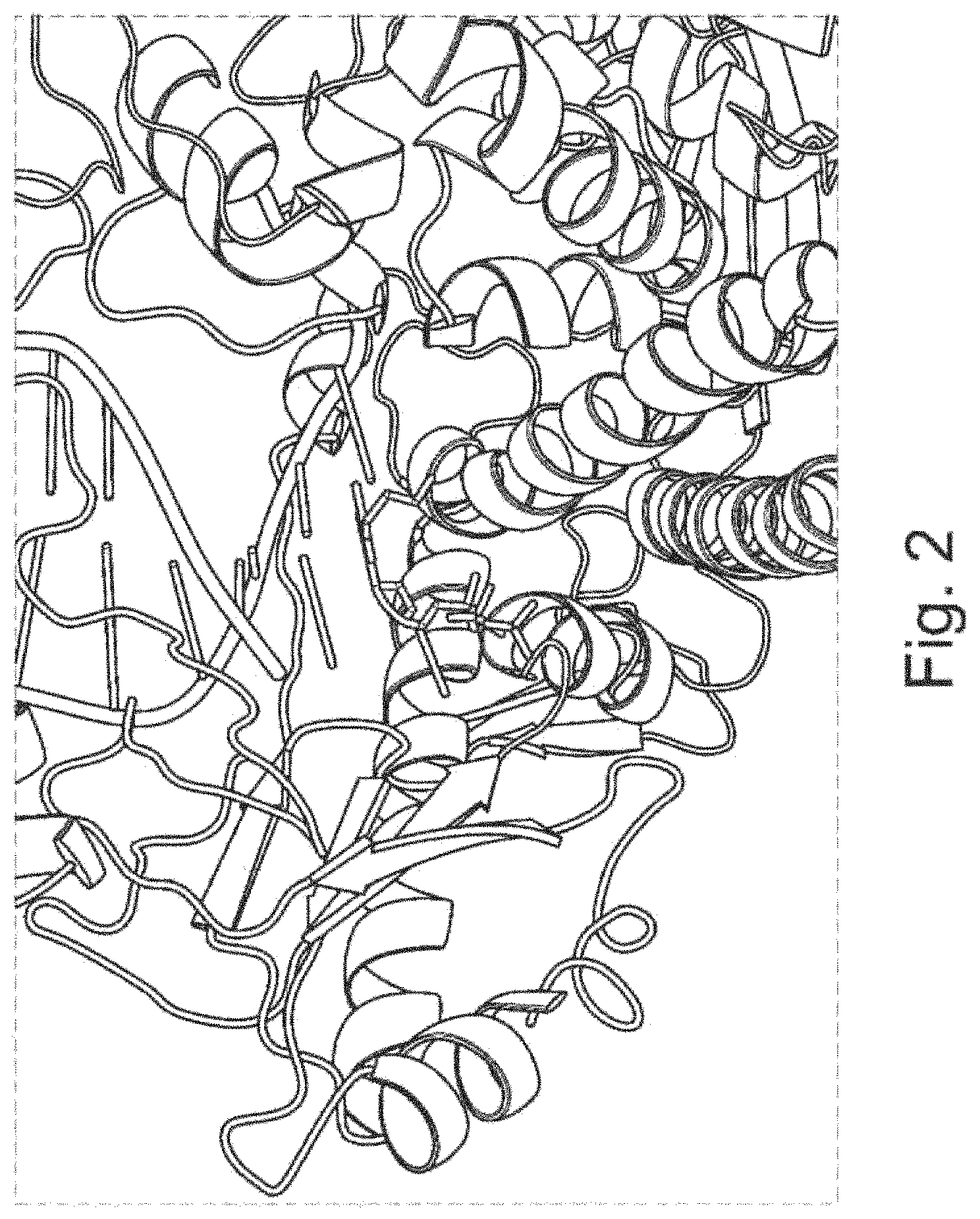 Patent US11781182 Figure 2 – Modified polymerases for improved incorporation of nucleotide analogues