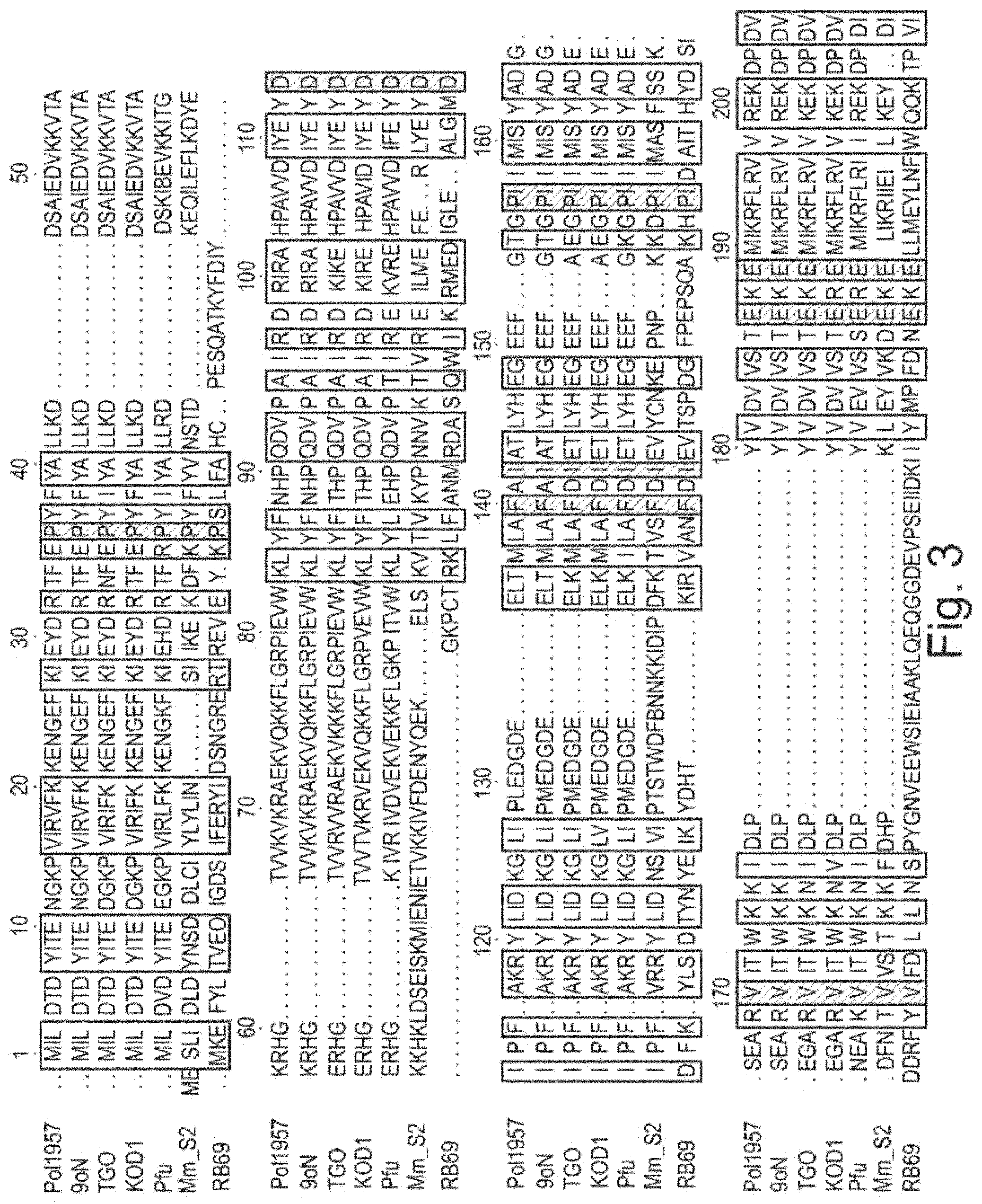 Patent US11781182 Figure 3 – Modified polymerases for improved incorporation of nucleotide analogues