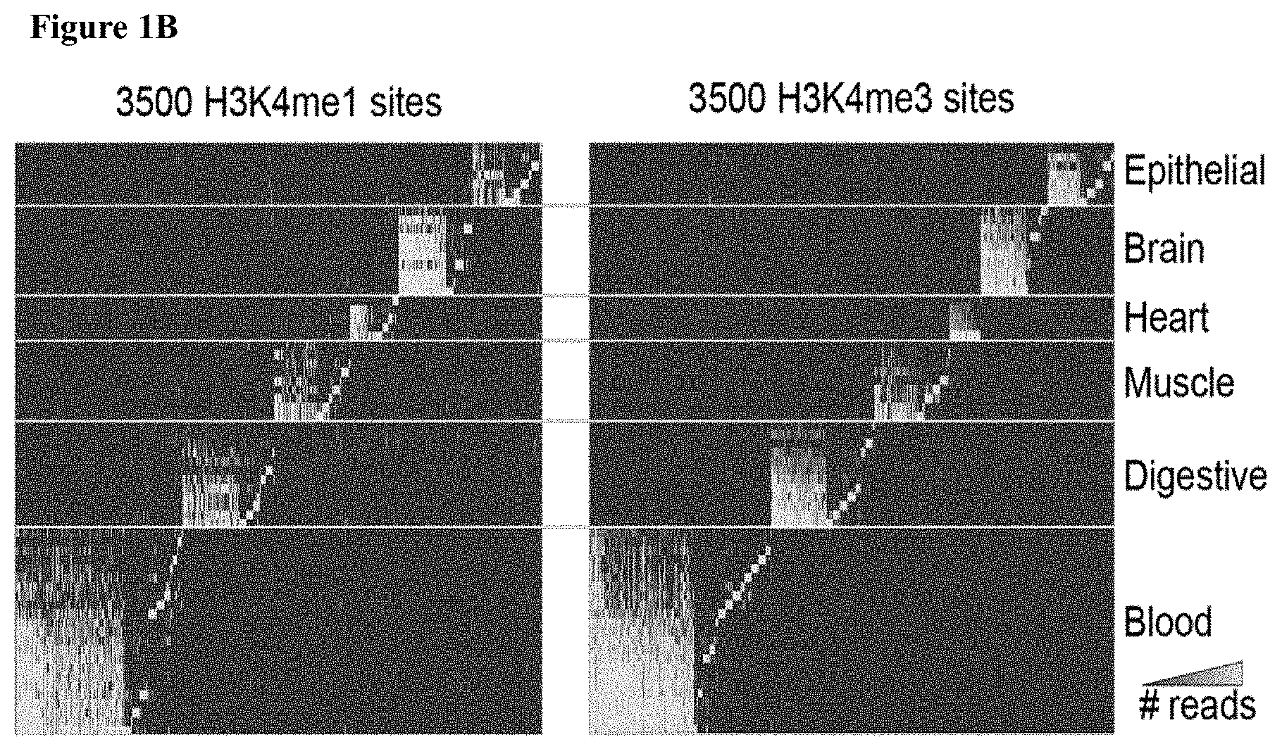Patent US11781183 Figure 2 – Diagnostic use of cell free DNA chromatin immunoprecipitation